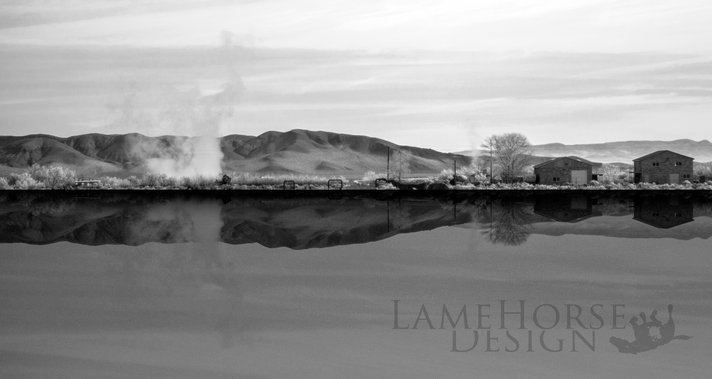 DSC_0093.png