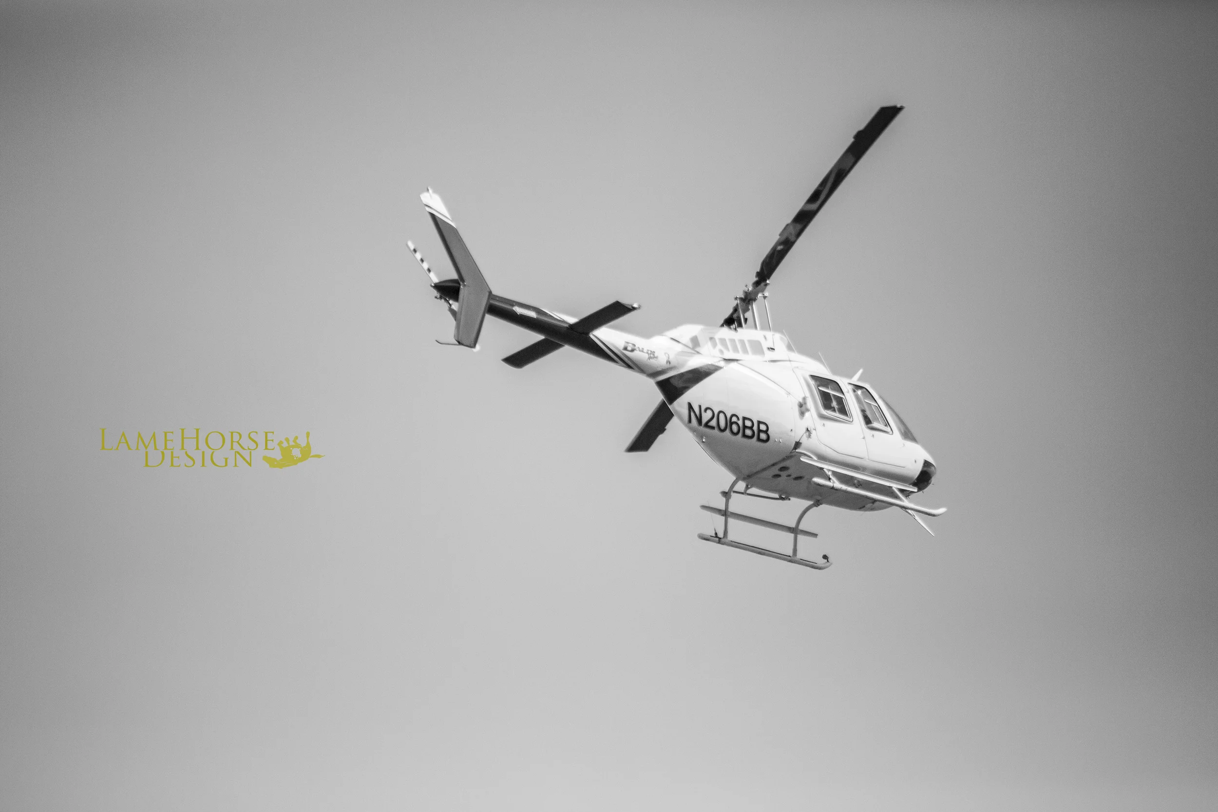 XR8A0590 copy.jpg