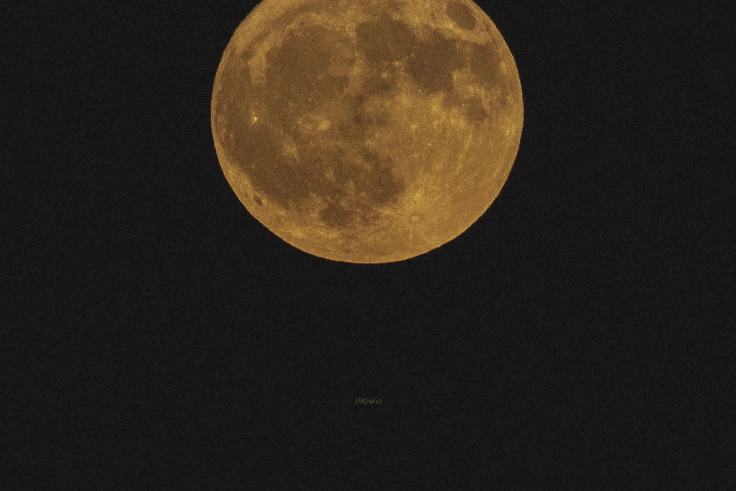 WILDMOON_2.jpg