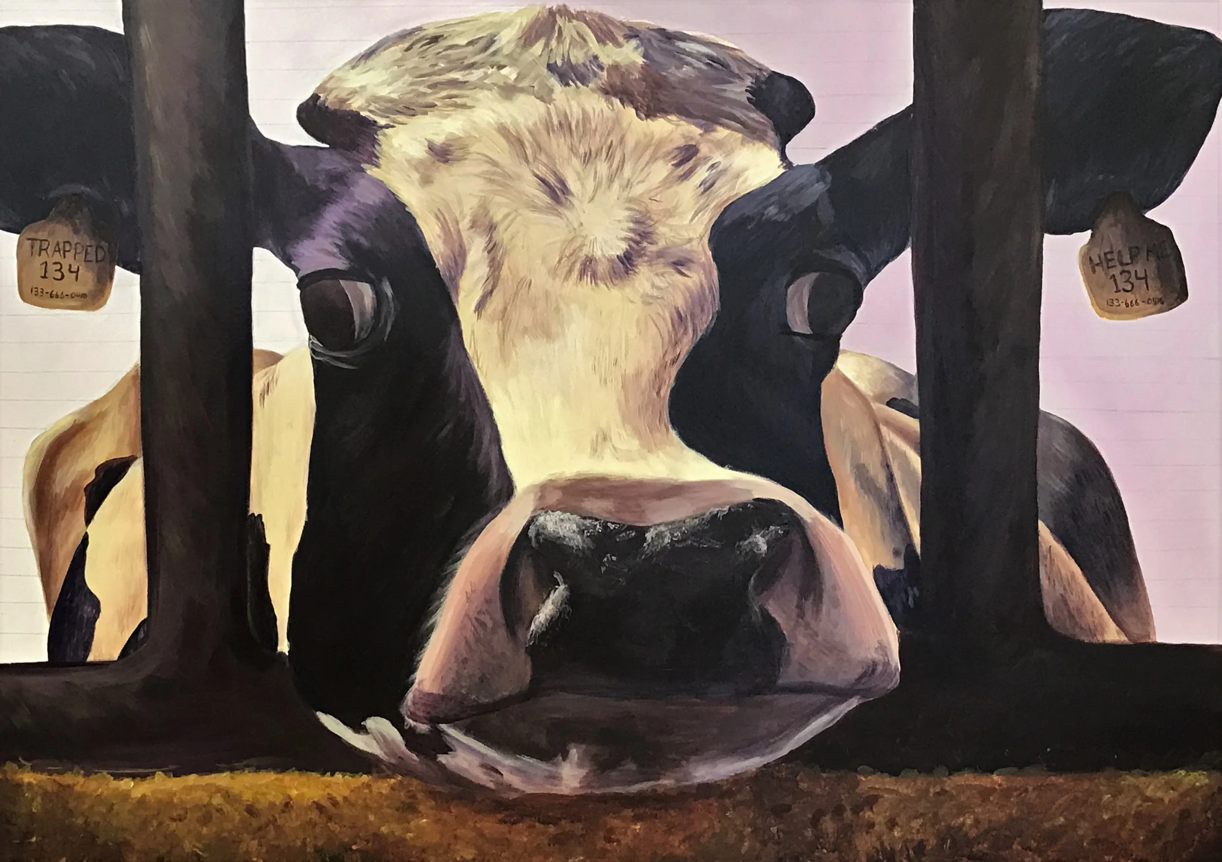 Sullivan County High School Show April 20 – May 5