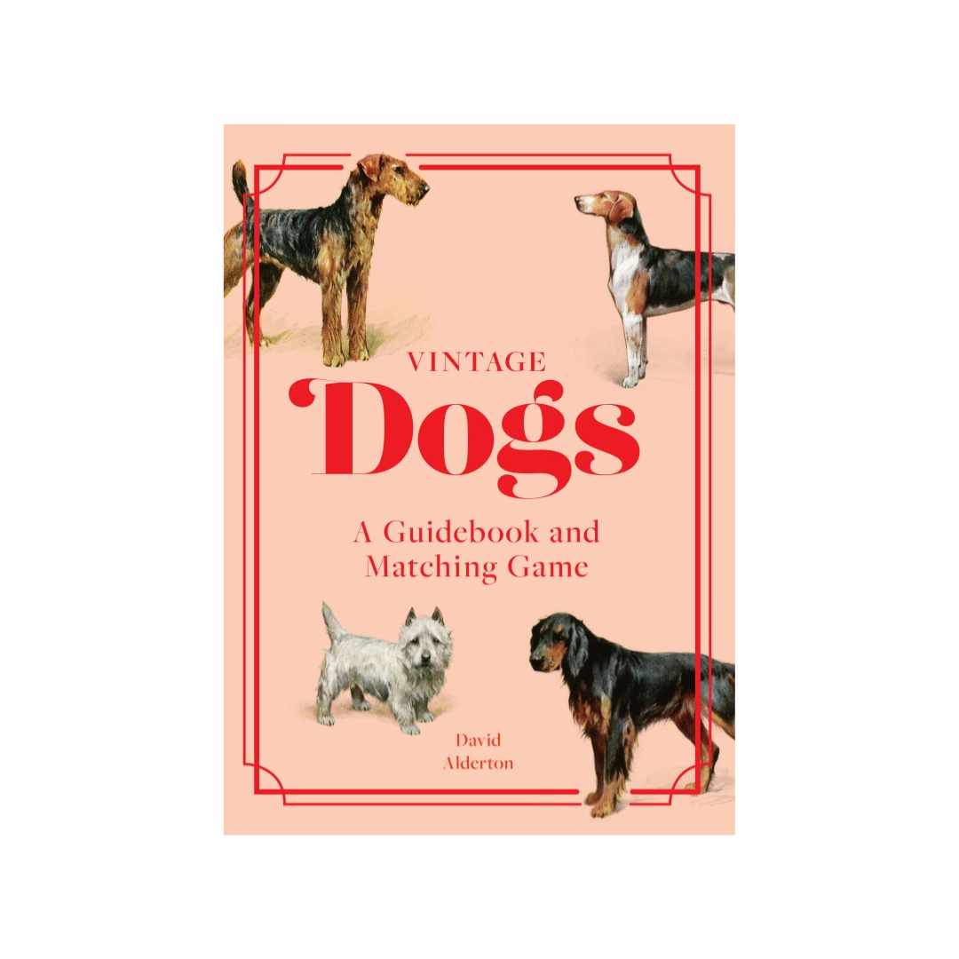 Vintage Dogs Matching Game