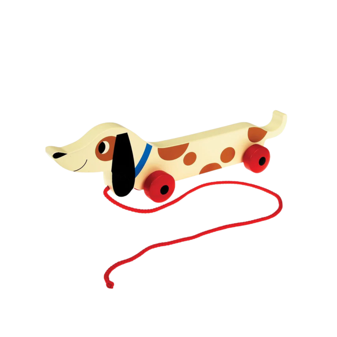 Pull Along Sausage Dog.png