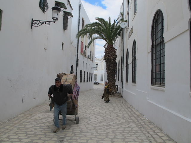 The buildings and streets of the Medina of Tunis are still providing an effective response to the climate more than one thousand years later. Which of our contemporary cities will be able to make similar claims?