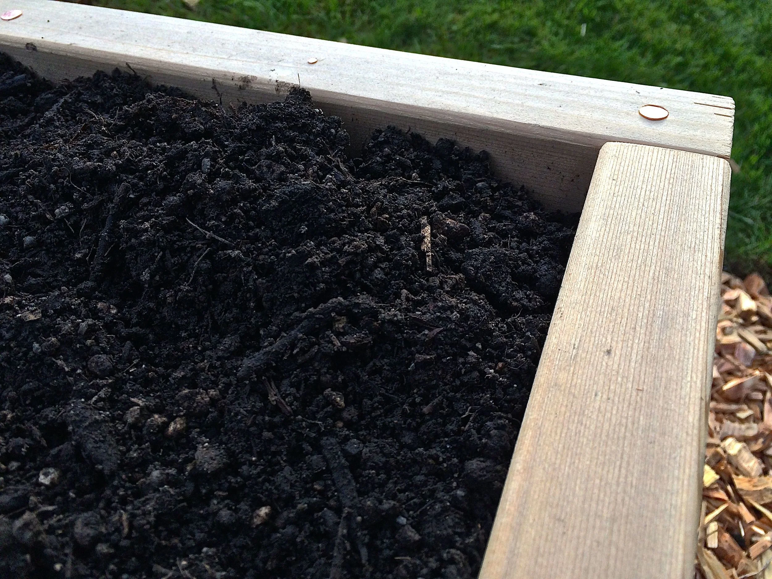Raised bed detail with copper nails