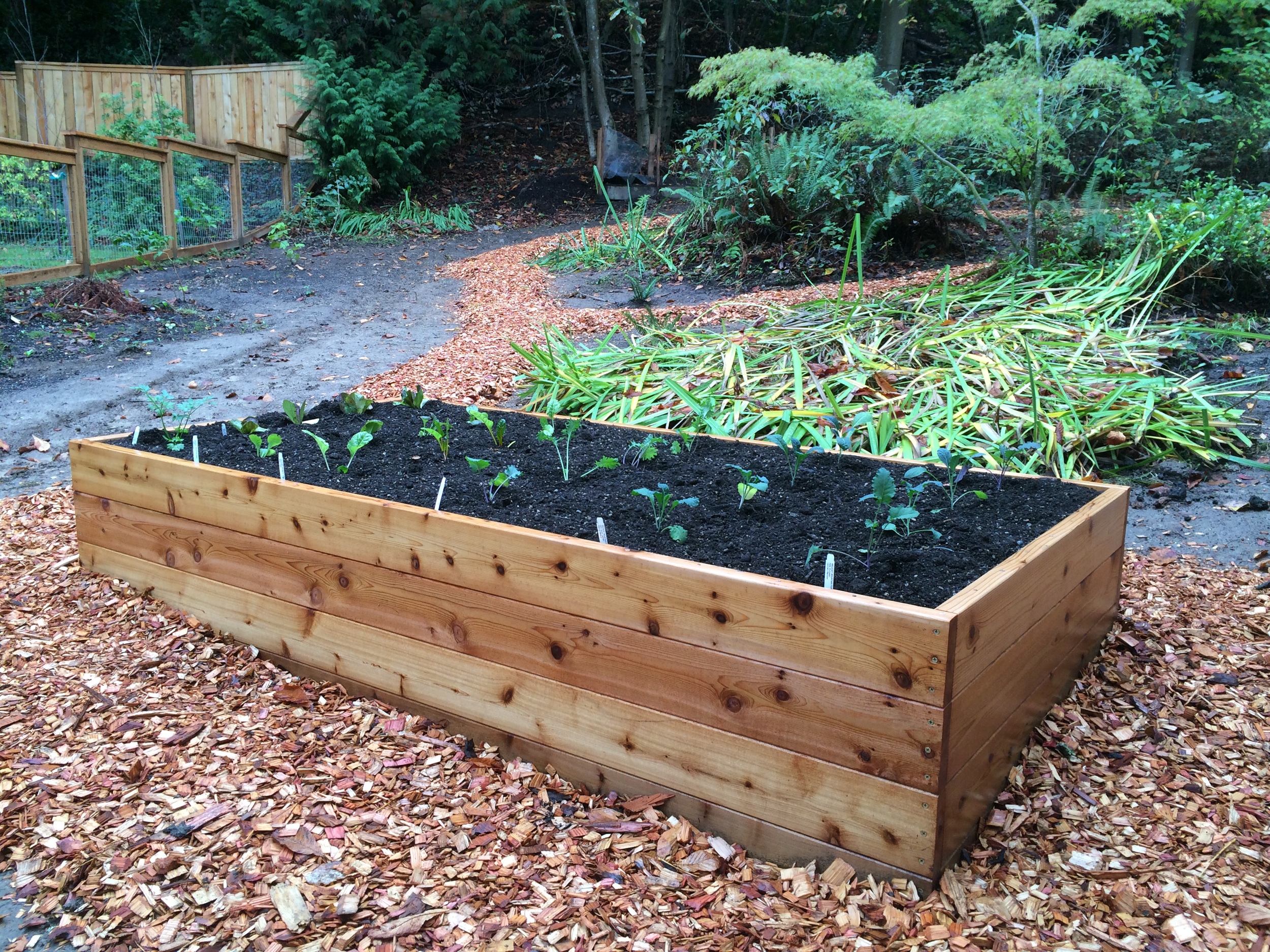 Classic raised garden bed