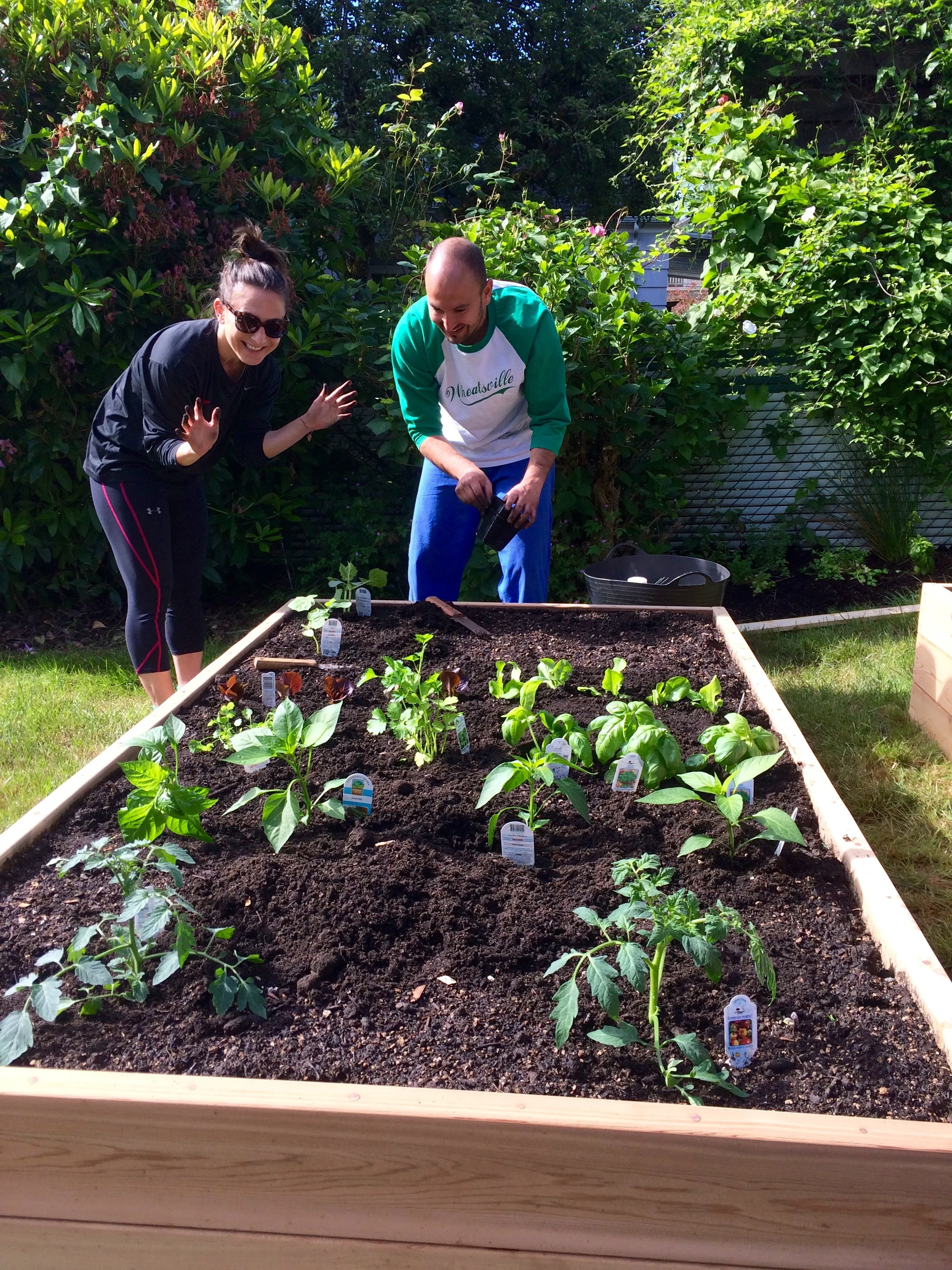 PEG Update: A Summer, A Fall... in Photos!! — Portland Edible Gardens