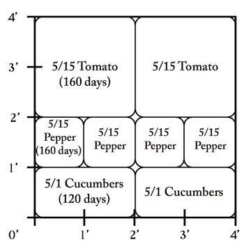 Step 1: Decide where one-time, long to mature plantings will go