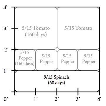 Step 3: See if any summer plantings will be harvested in time for planting any cool season Fall crops.