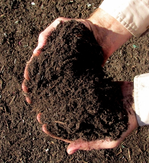Compost The Perfect Amendment Portland Edible Gardens Raised Garden Beds Landscaping And Vegetable Help In Or Vegetable Garden Help In Portland, Adding Manure To Garden In Fall