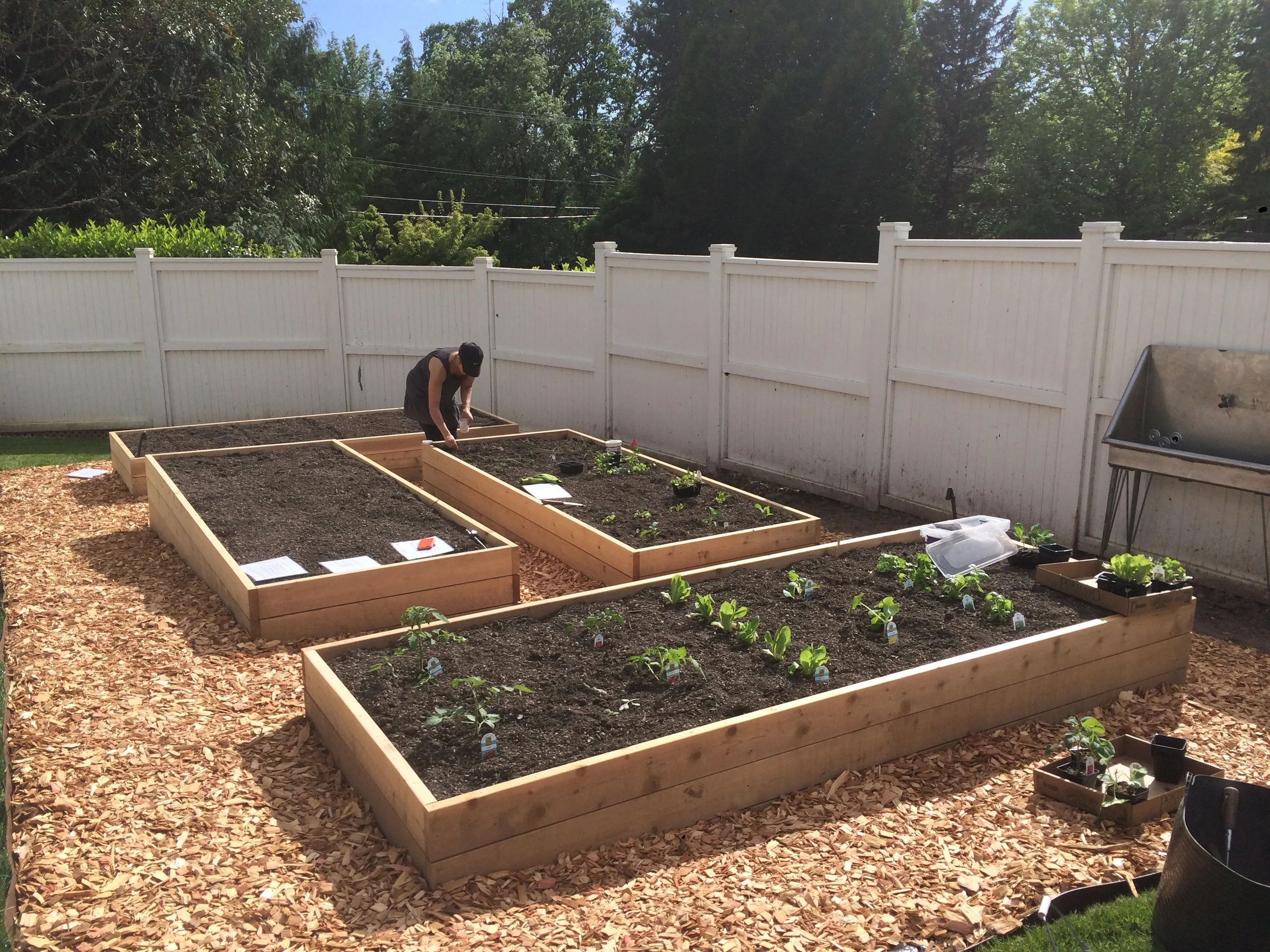 Raised Bed Prep 4.jpg