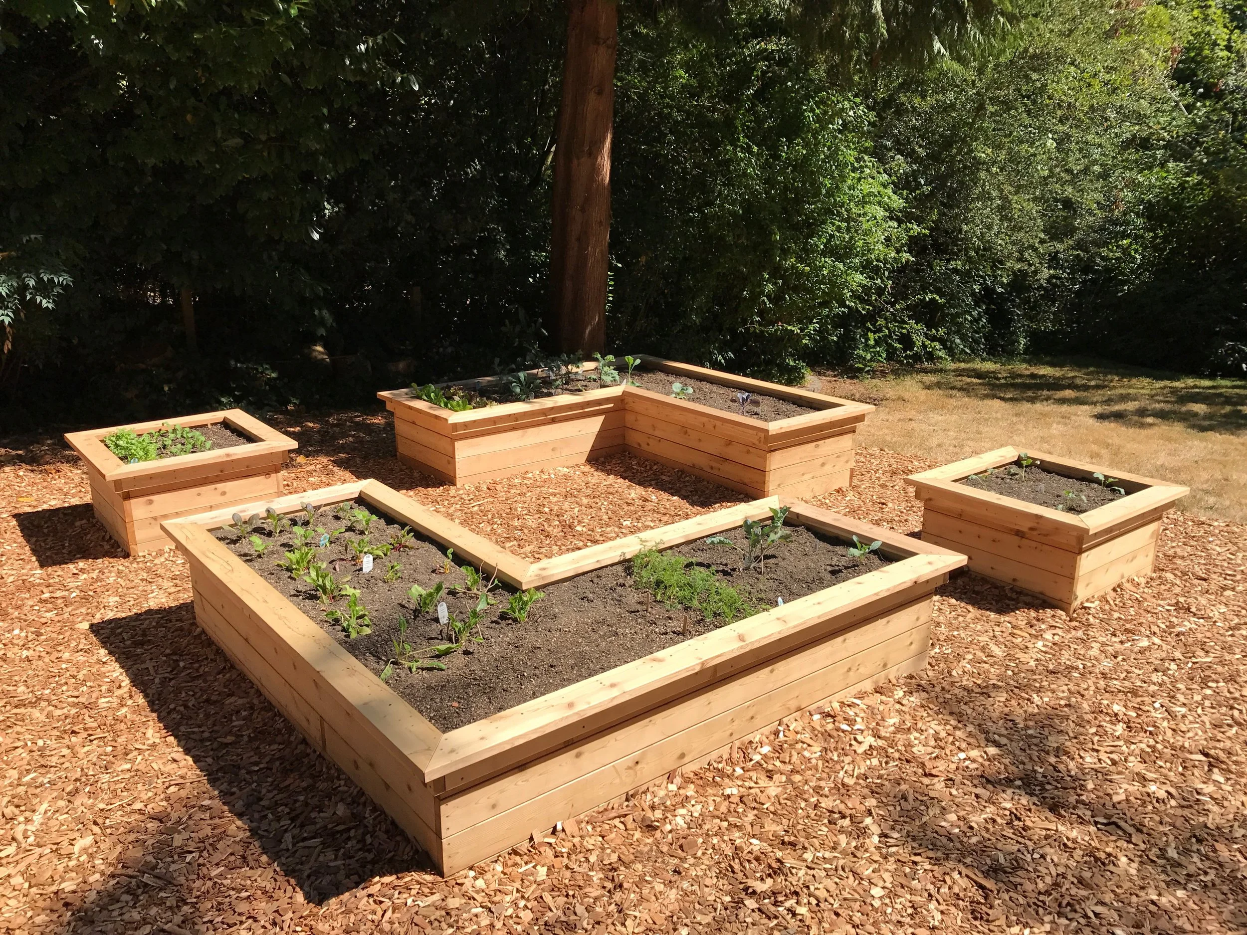 Journal — Portland Edible Gardens: Raised Garden Beds, Edible