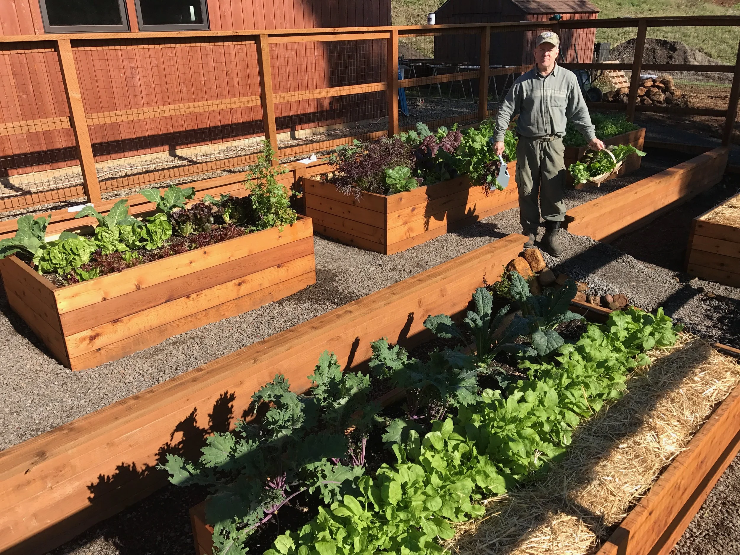 Organic Garden Harvest