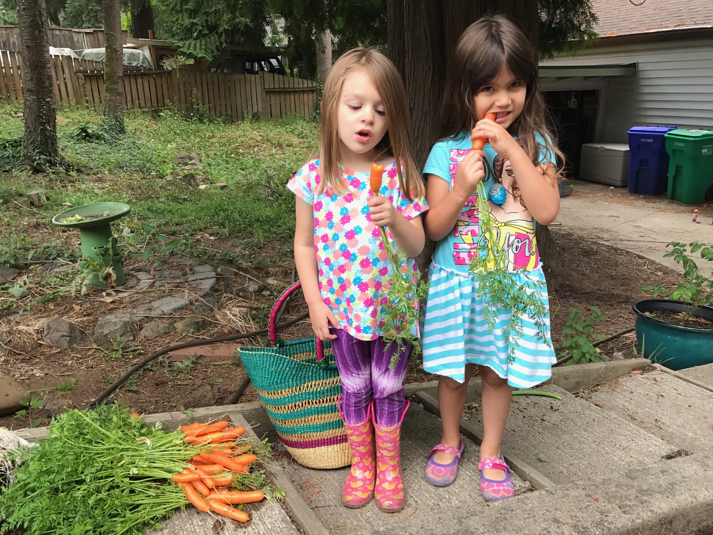 Kids Eating Carrots in the Vegetable Garden