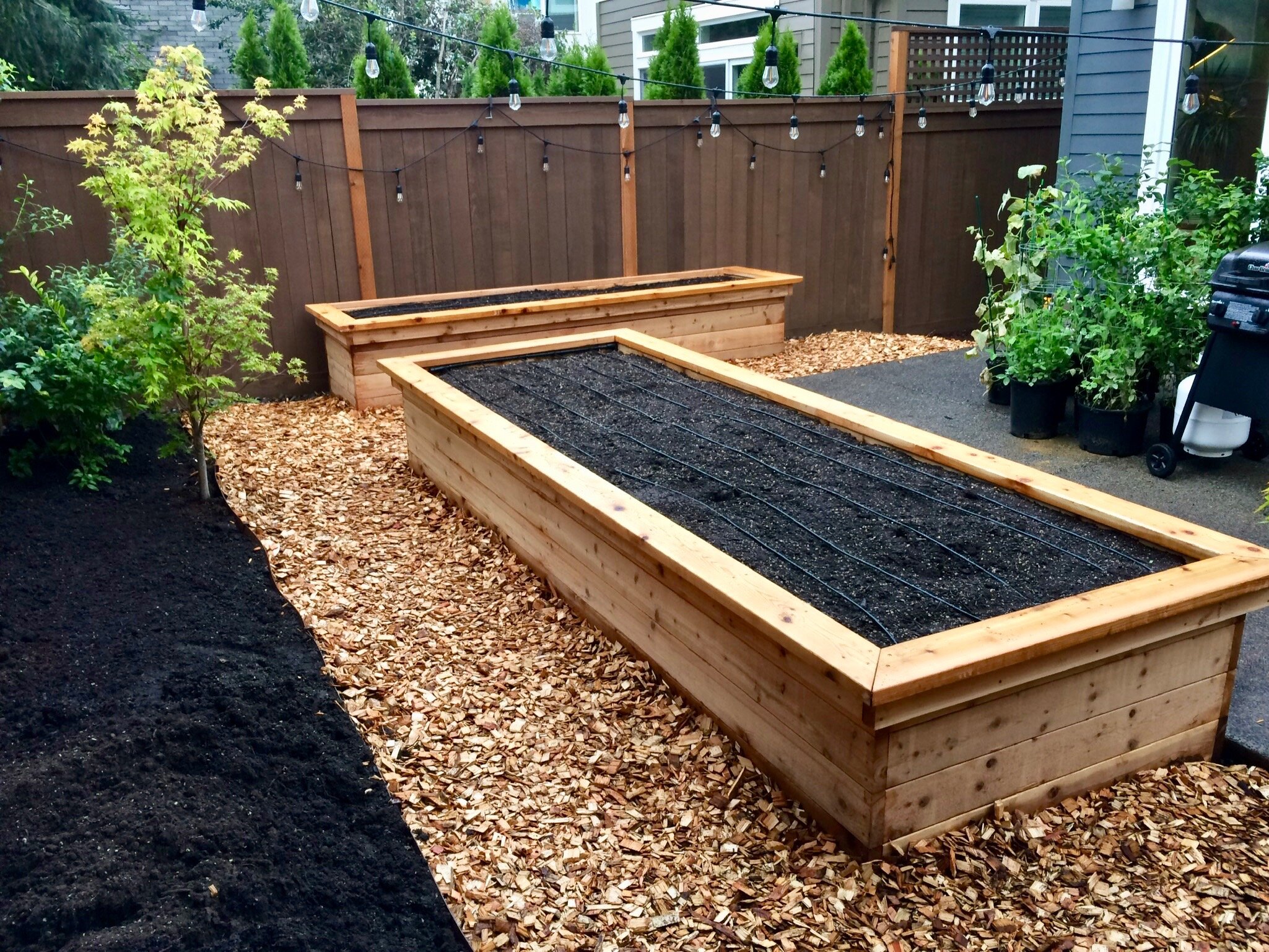  Cedar Raised Beds with benches 