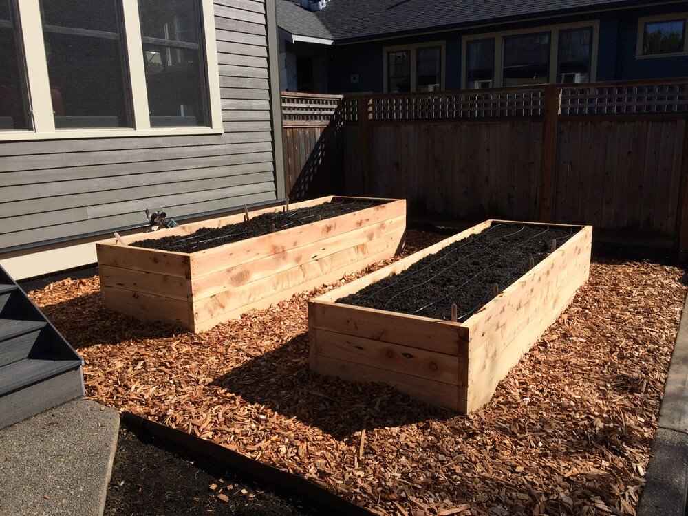  Sustainable Juniper raised beds 