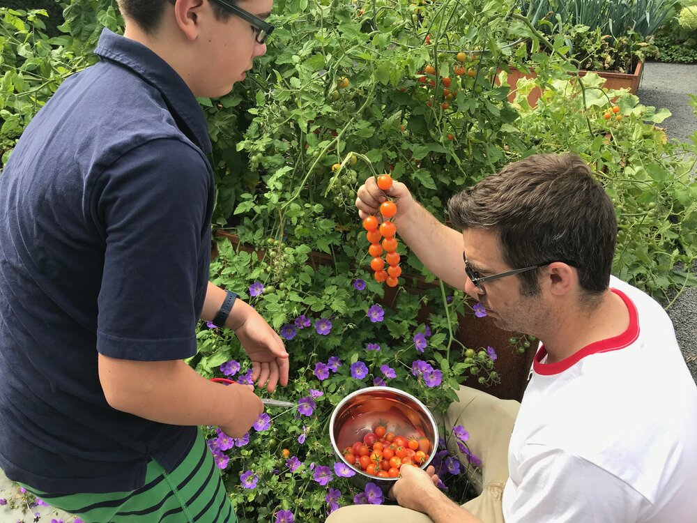  Father and Son gardening. 