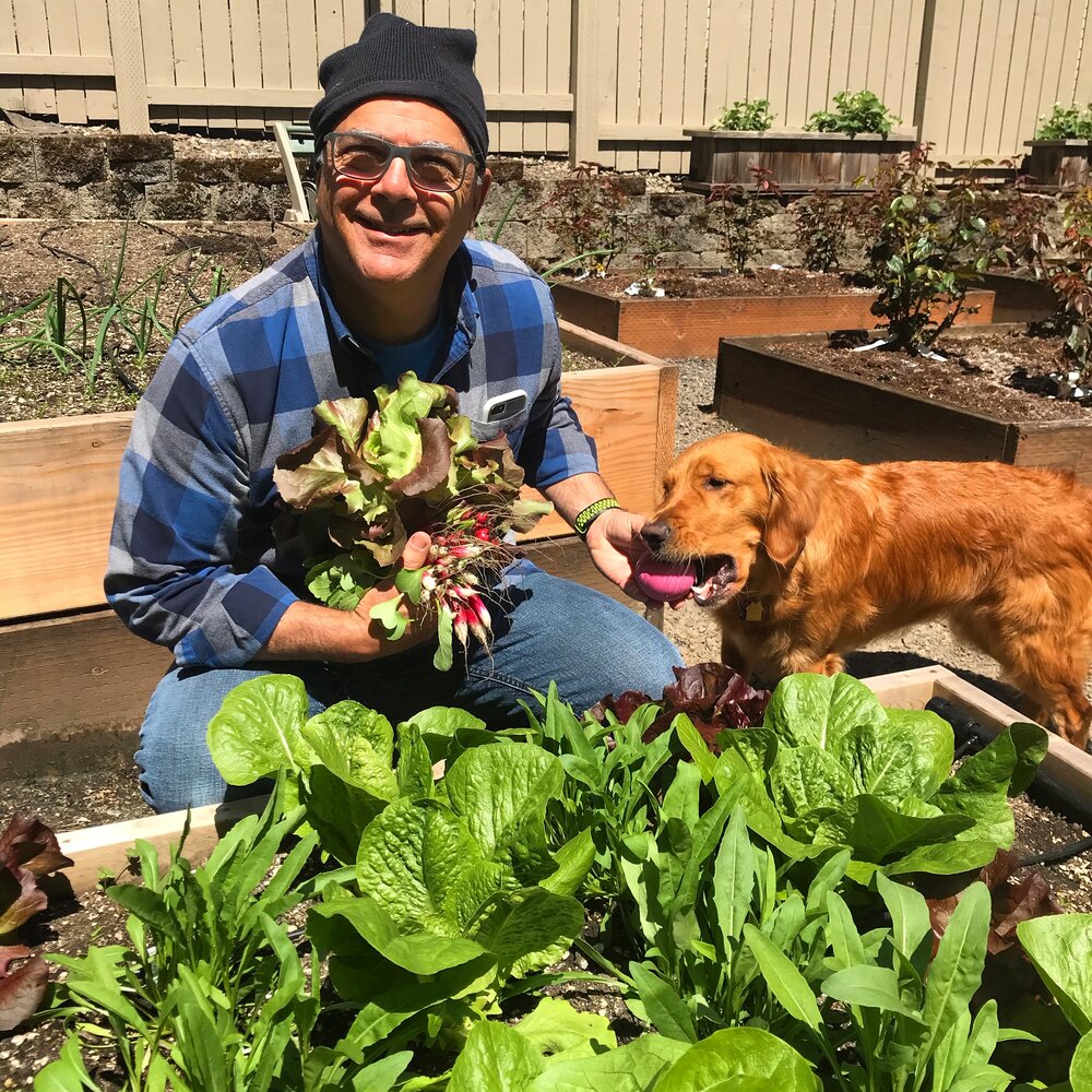  Man with dog in vegetable garden 