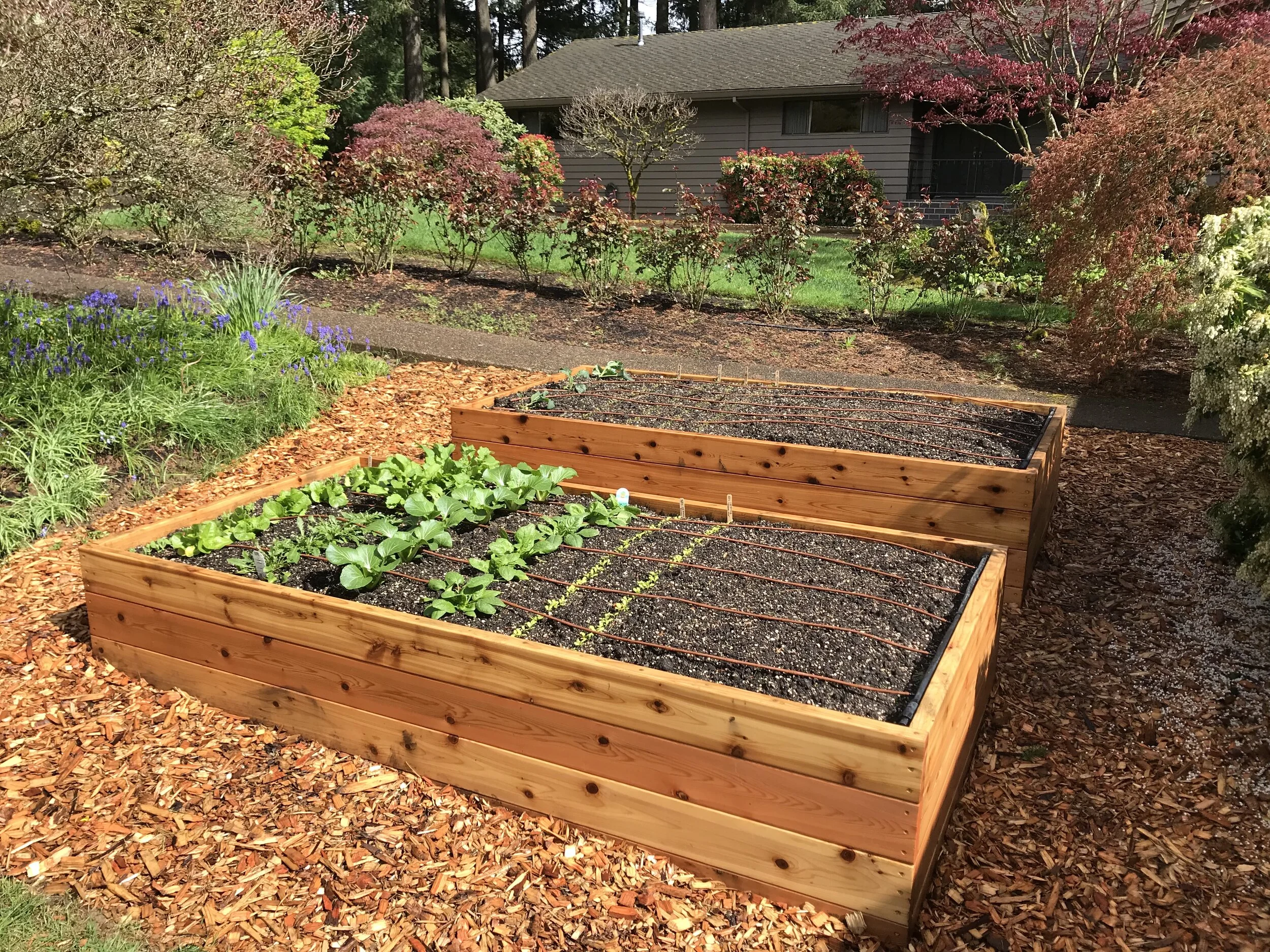 Raised Garden Beds — Portland Edible Gardens: Raised Garden Beds