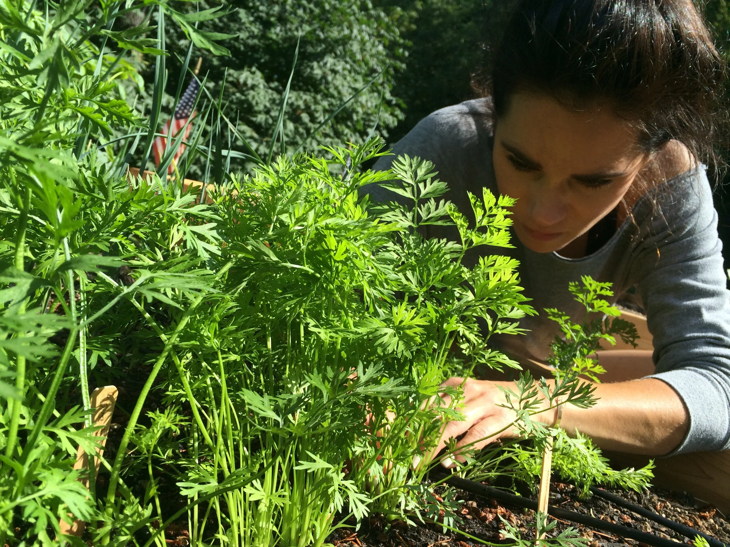 The PEG Journal — Portland Edible Gardens Raised Garden Beds, Edible