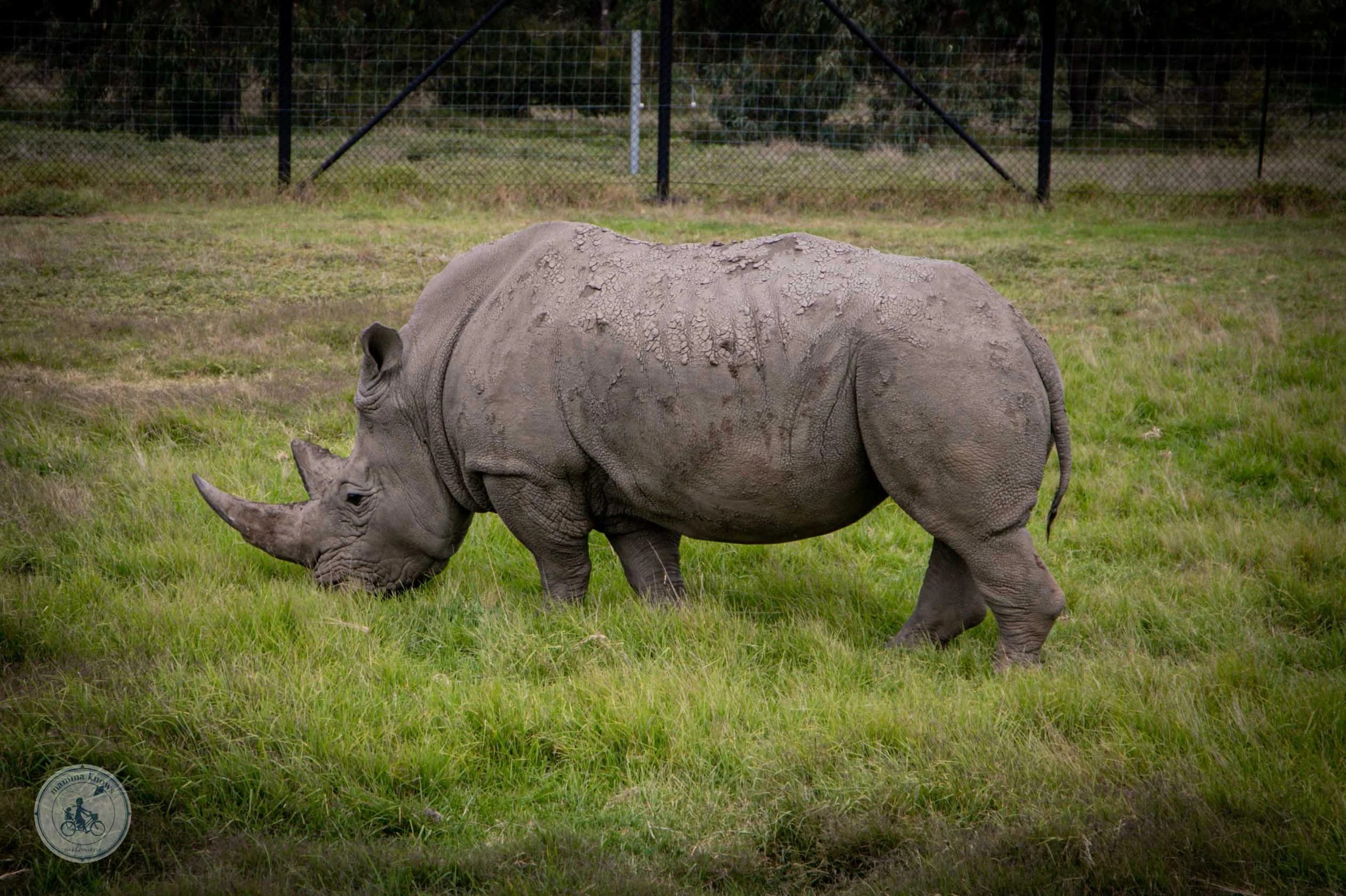 Werribee Open Range Zoo - Kids Go free