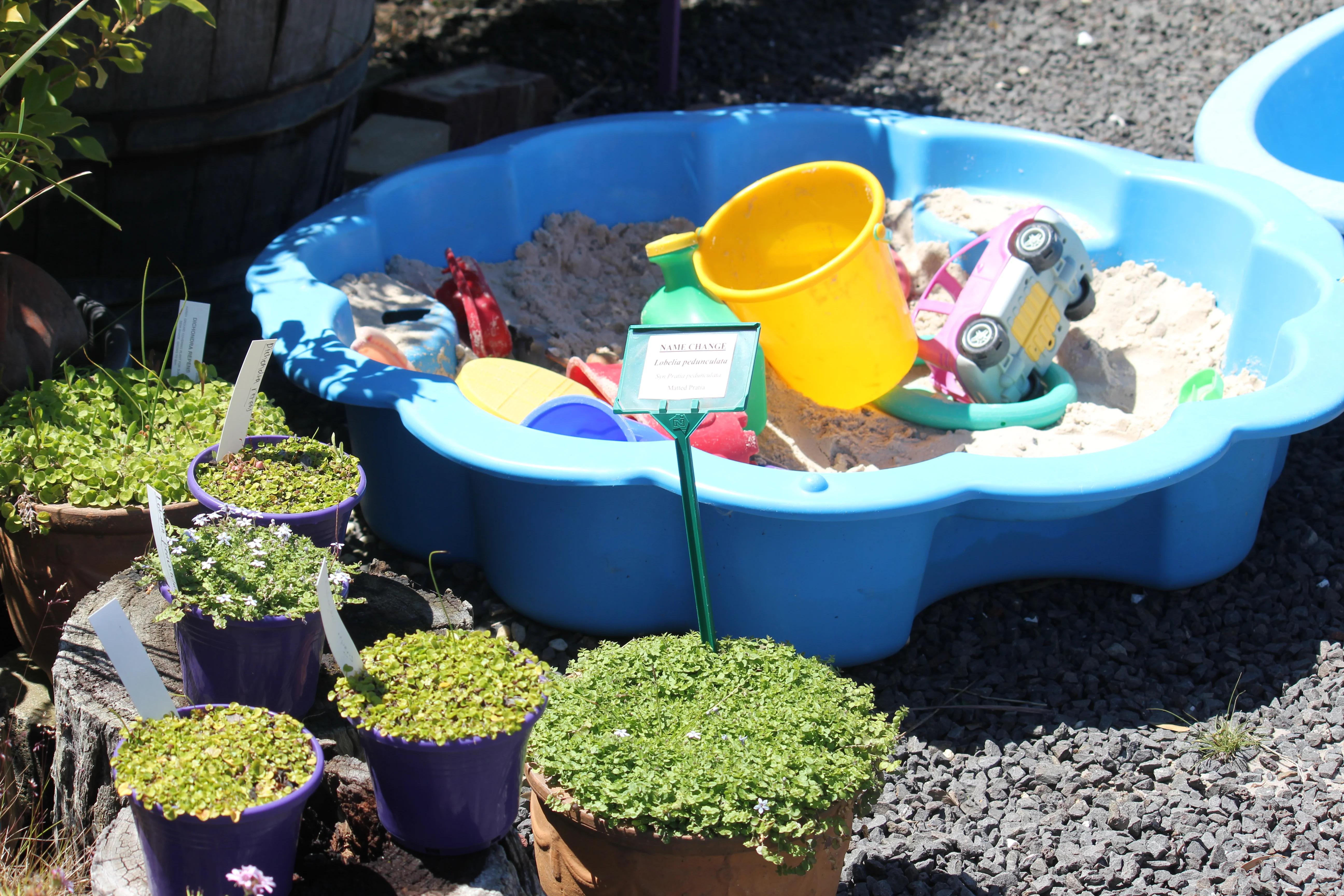 newport lakes native nursery, newport