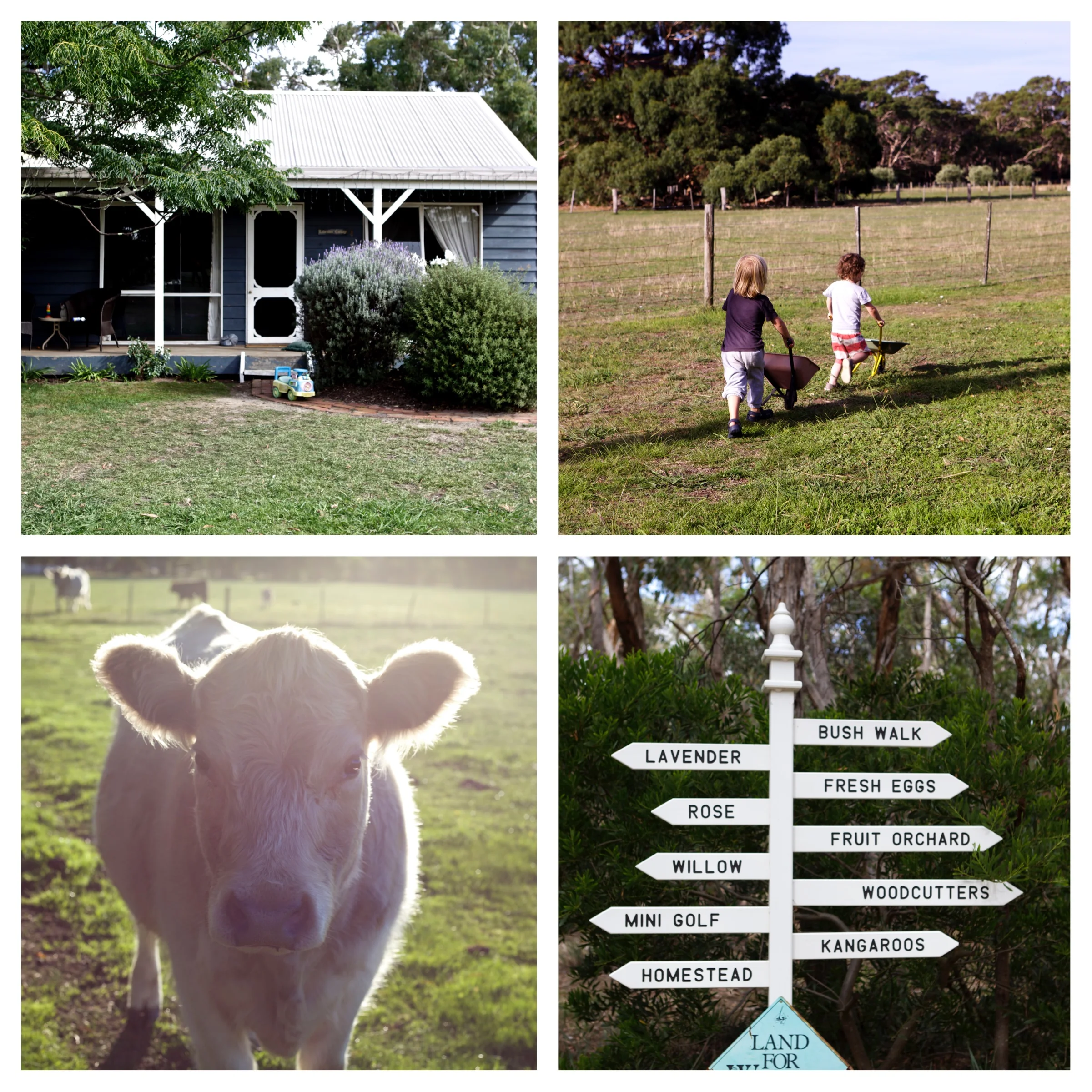 fw creek farmstay 3.jpg
