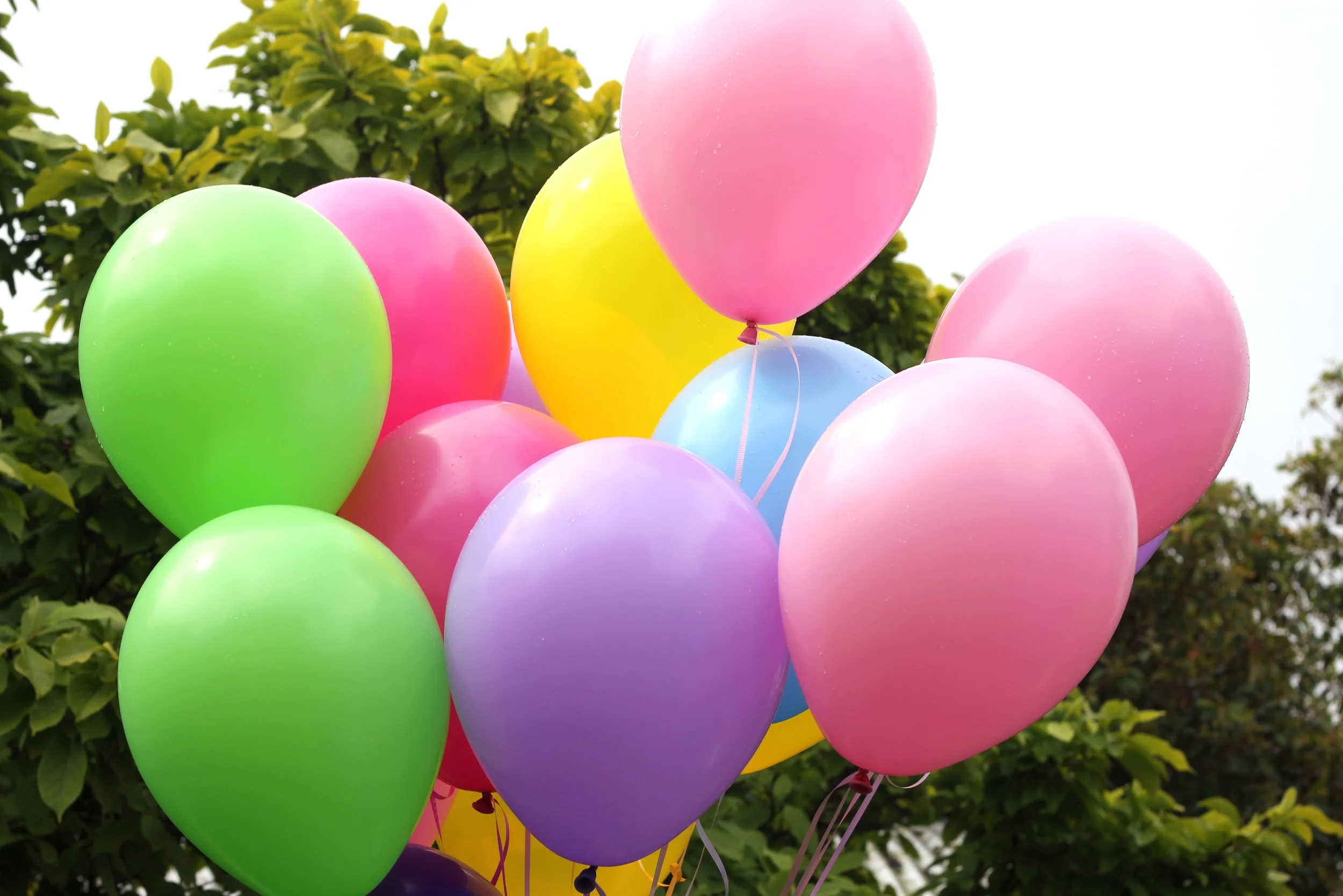 laverton community hub, laverton