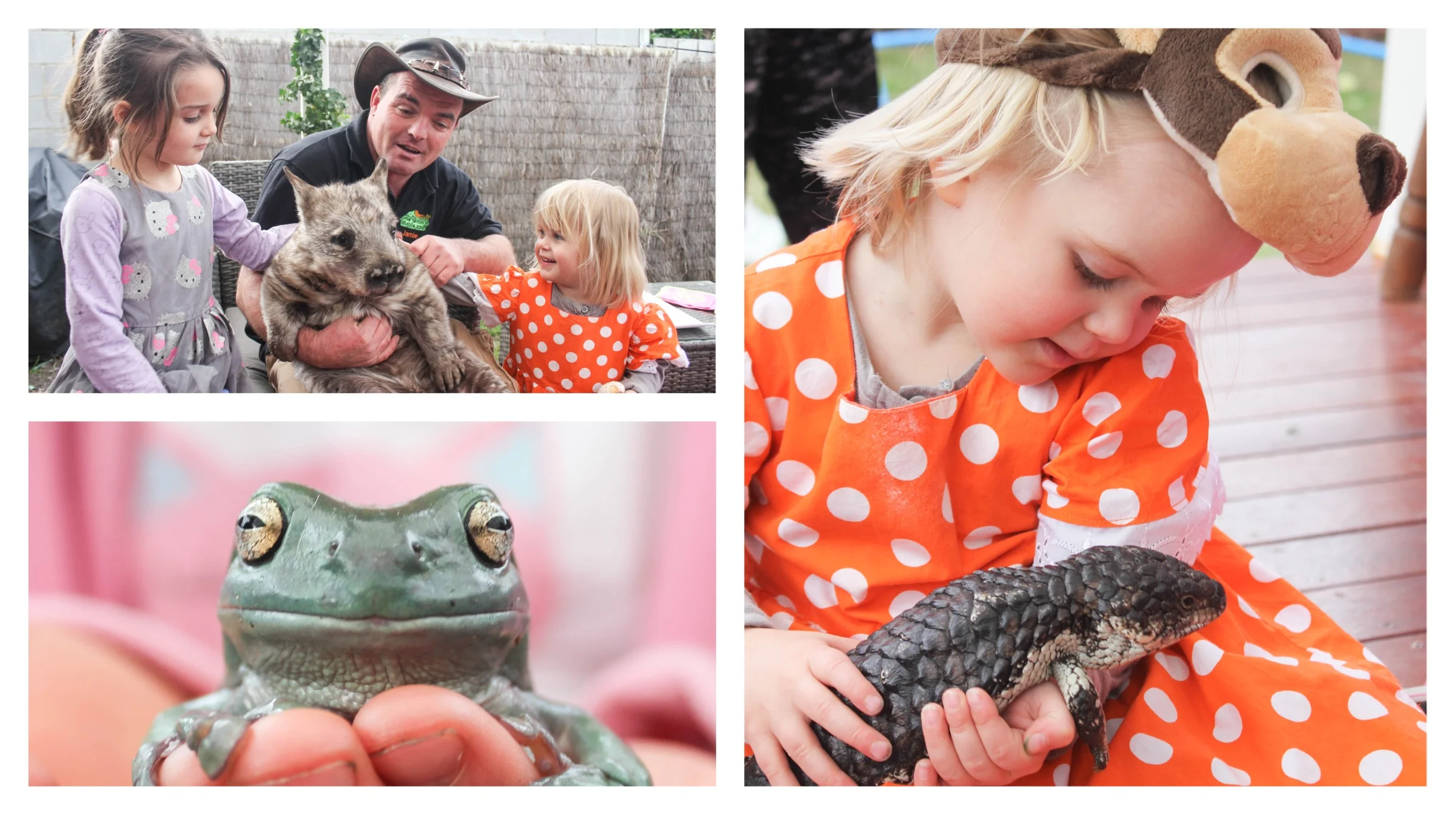 jamie and kim's mobile zoo