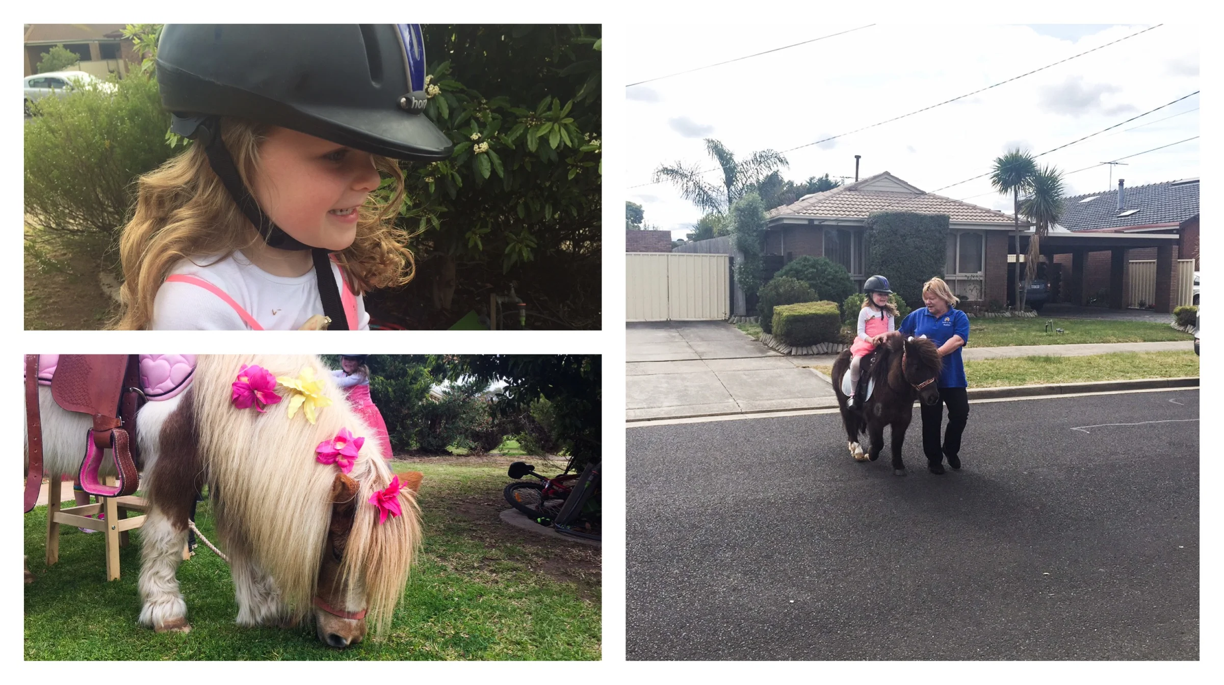 ponies in the meadows, altona