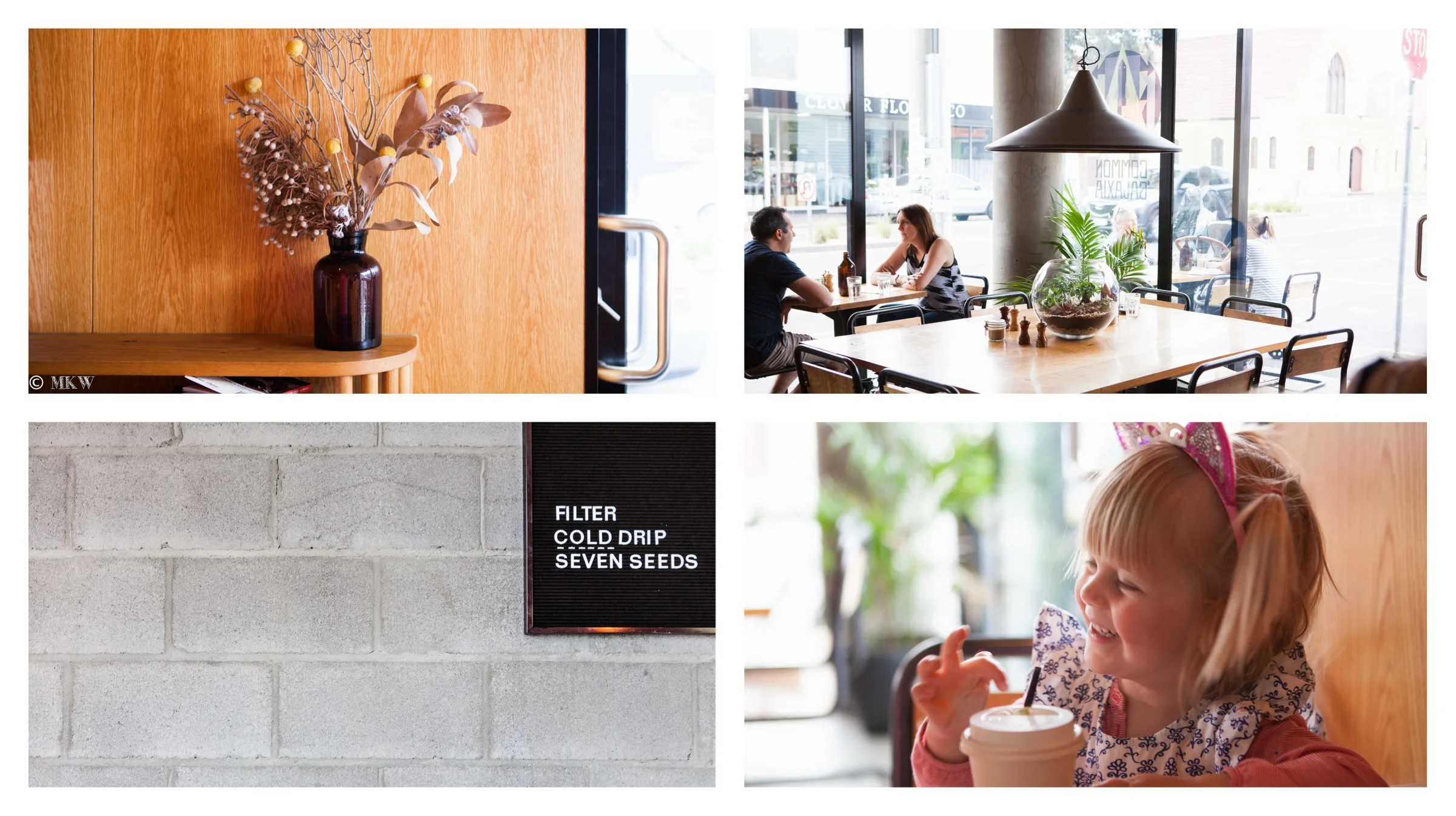 common galaxia, seddon