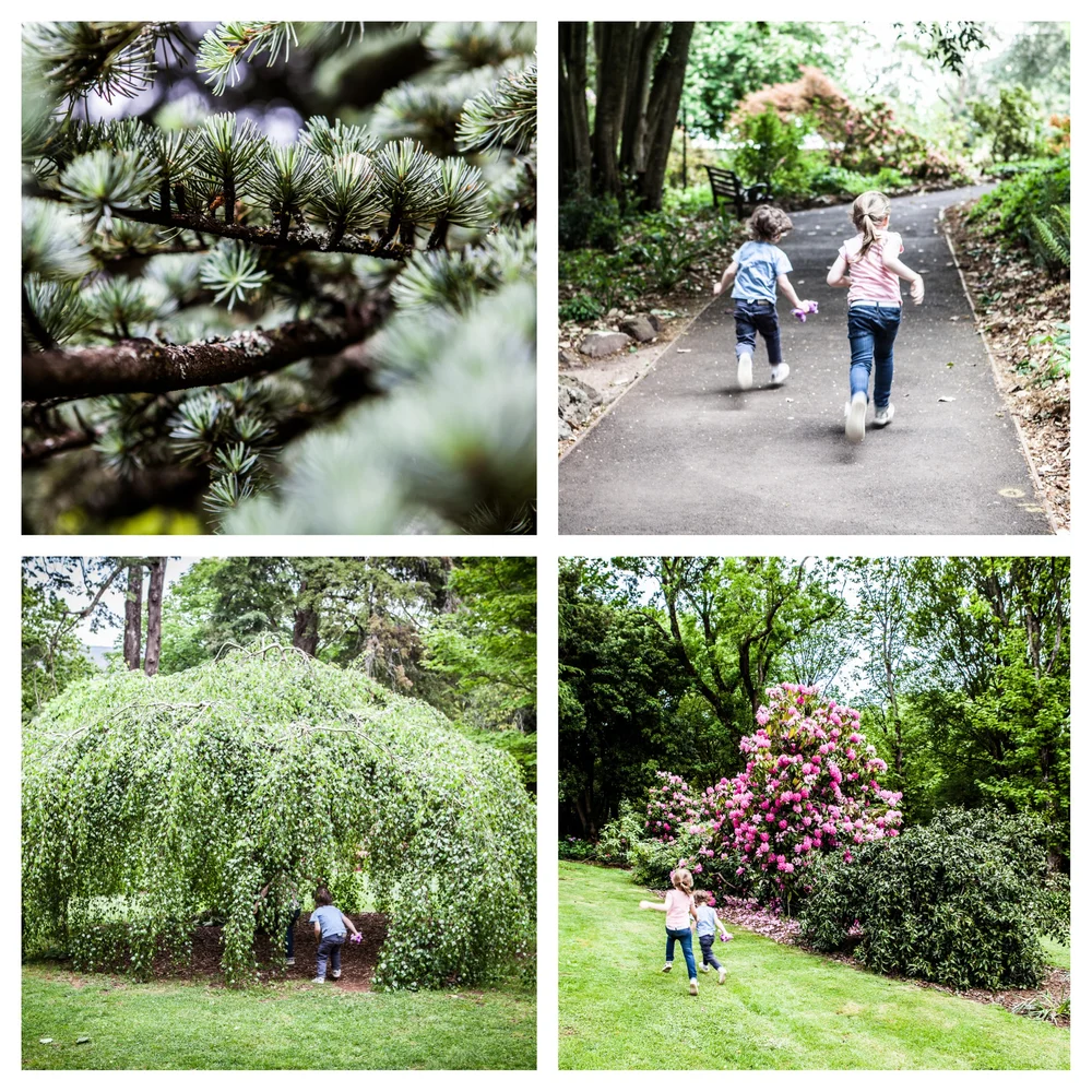 wombat hill bakehouse and botanic gardens