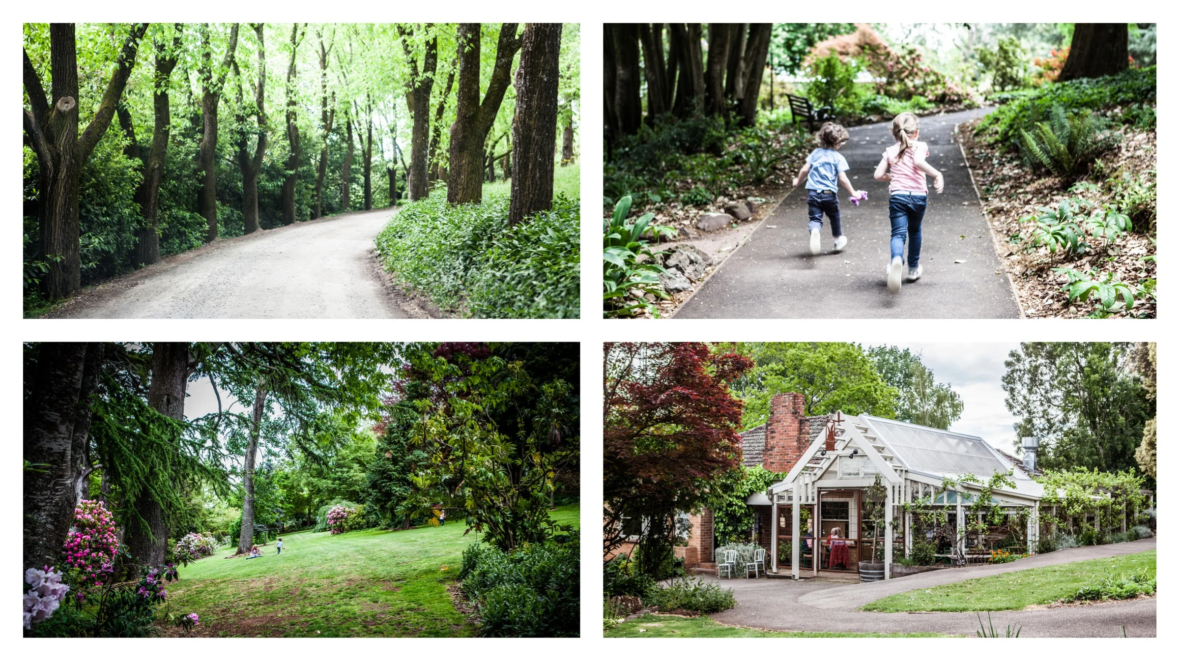wombat hill bakehouse and botanic gardens, daylesford