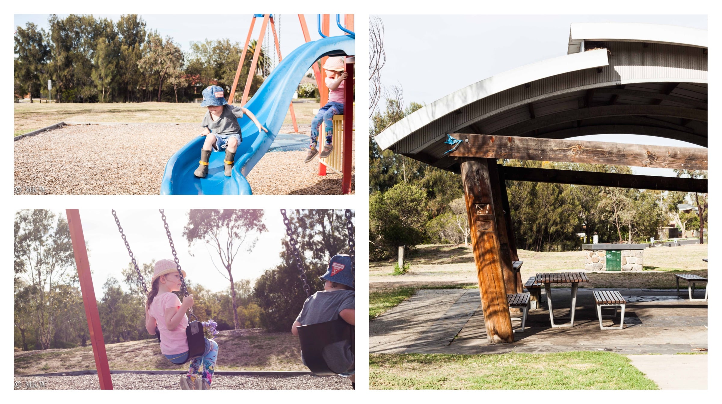 pavey reserve, newport