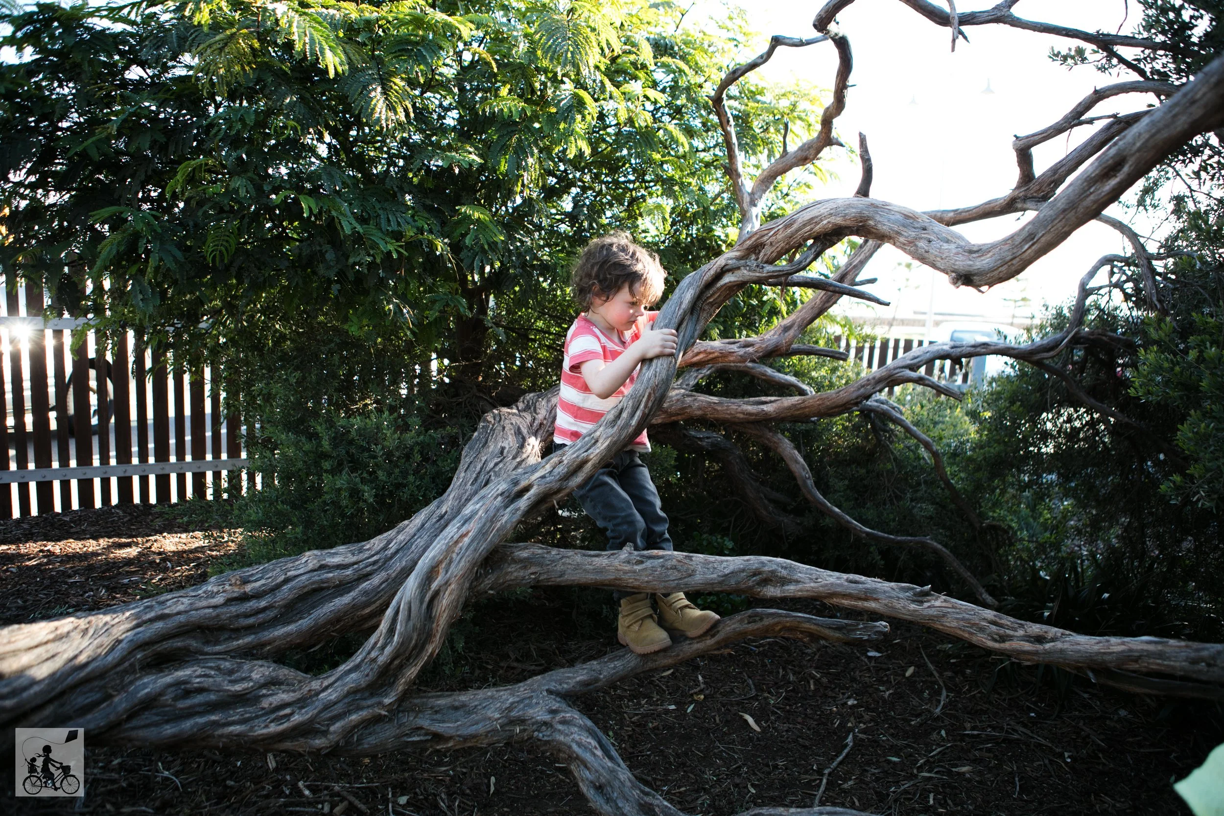 Logan Reserve - Mamma Knows West