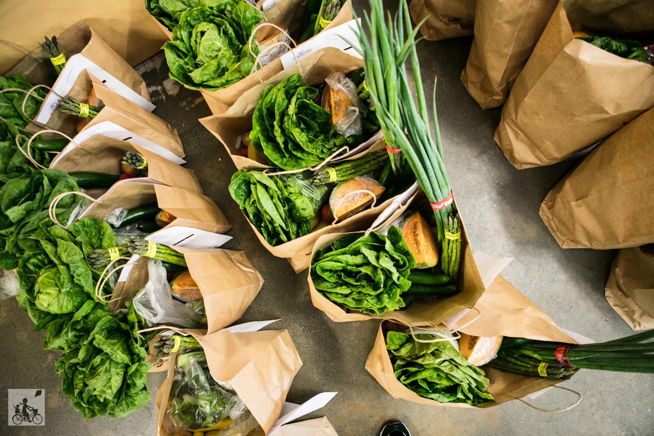 organic (23 of 23).jpg