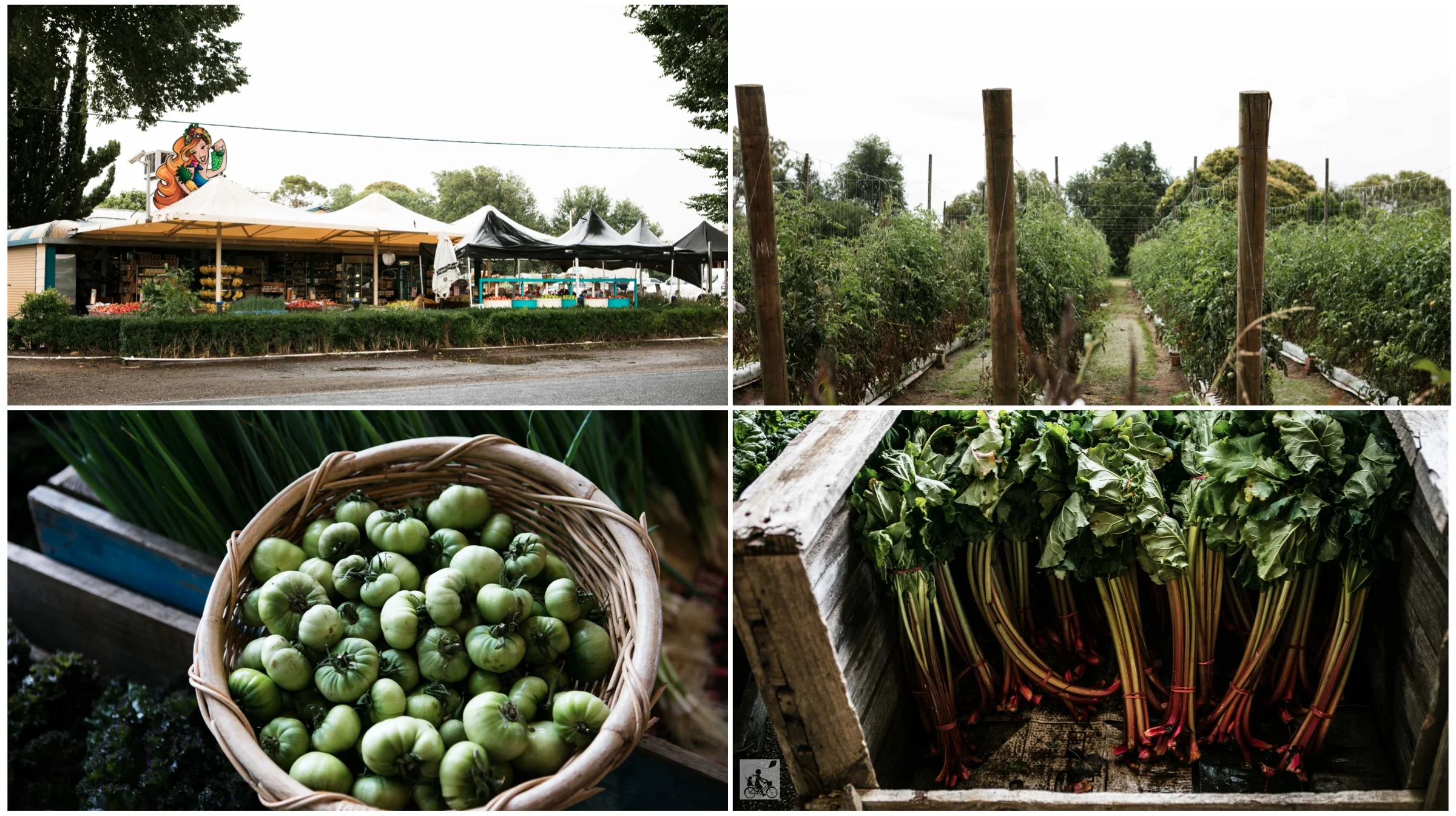 the fruits of life, bacchus marsh