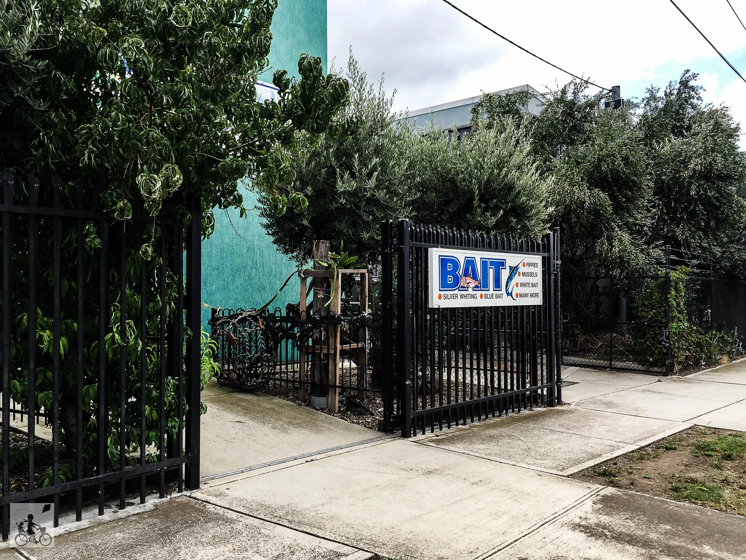 IMG_8393.jpg
