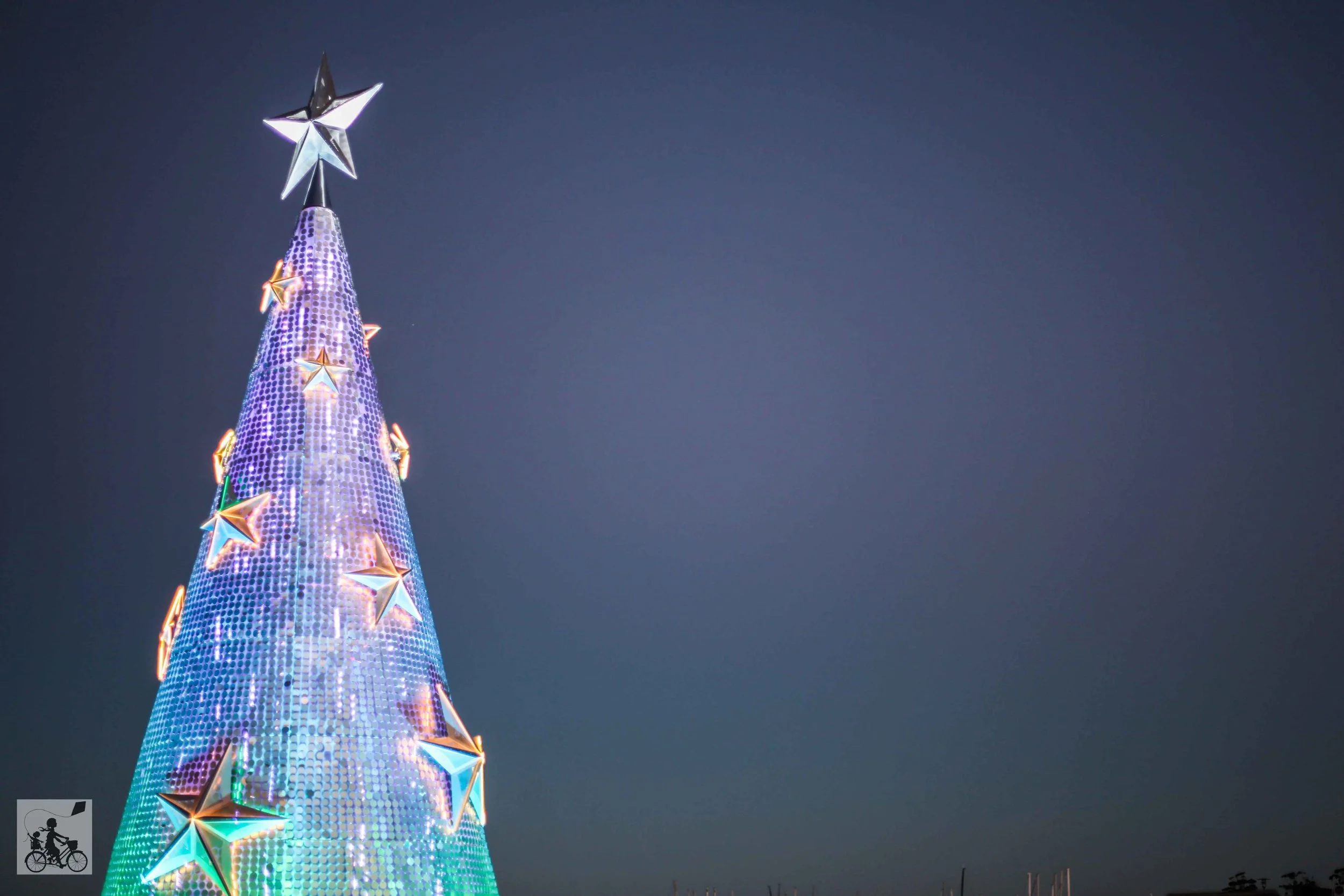the floating christmas tree in geelong