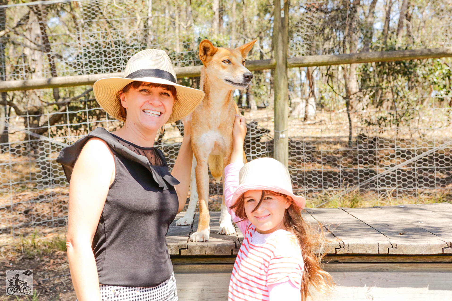 Mamma Knows West - Dingo Discovery Sanctuary (44 of 51).jpg