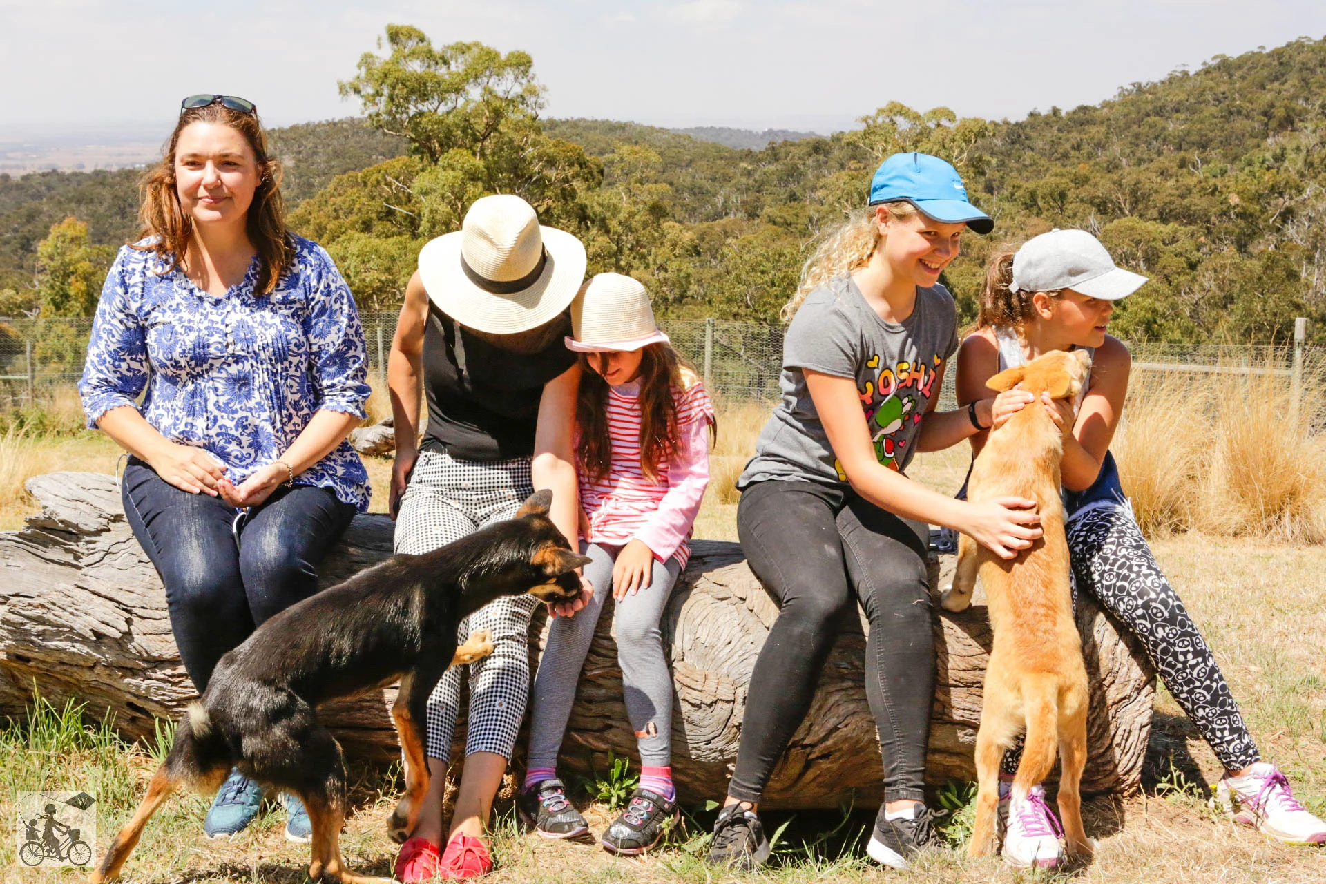 Mamma Knows West - Dingo Discovery Sanctuary (51 of 51).jpg