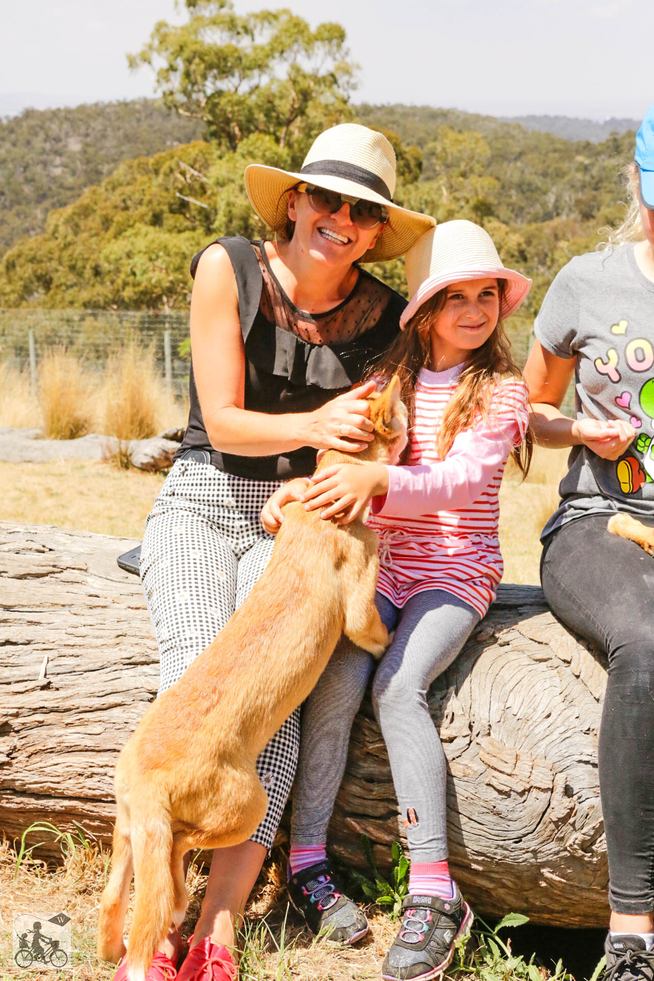 Mamma Knows West - Dingo Discovery Sanctuary (56 of 51).jpg