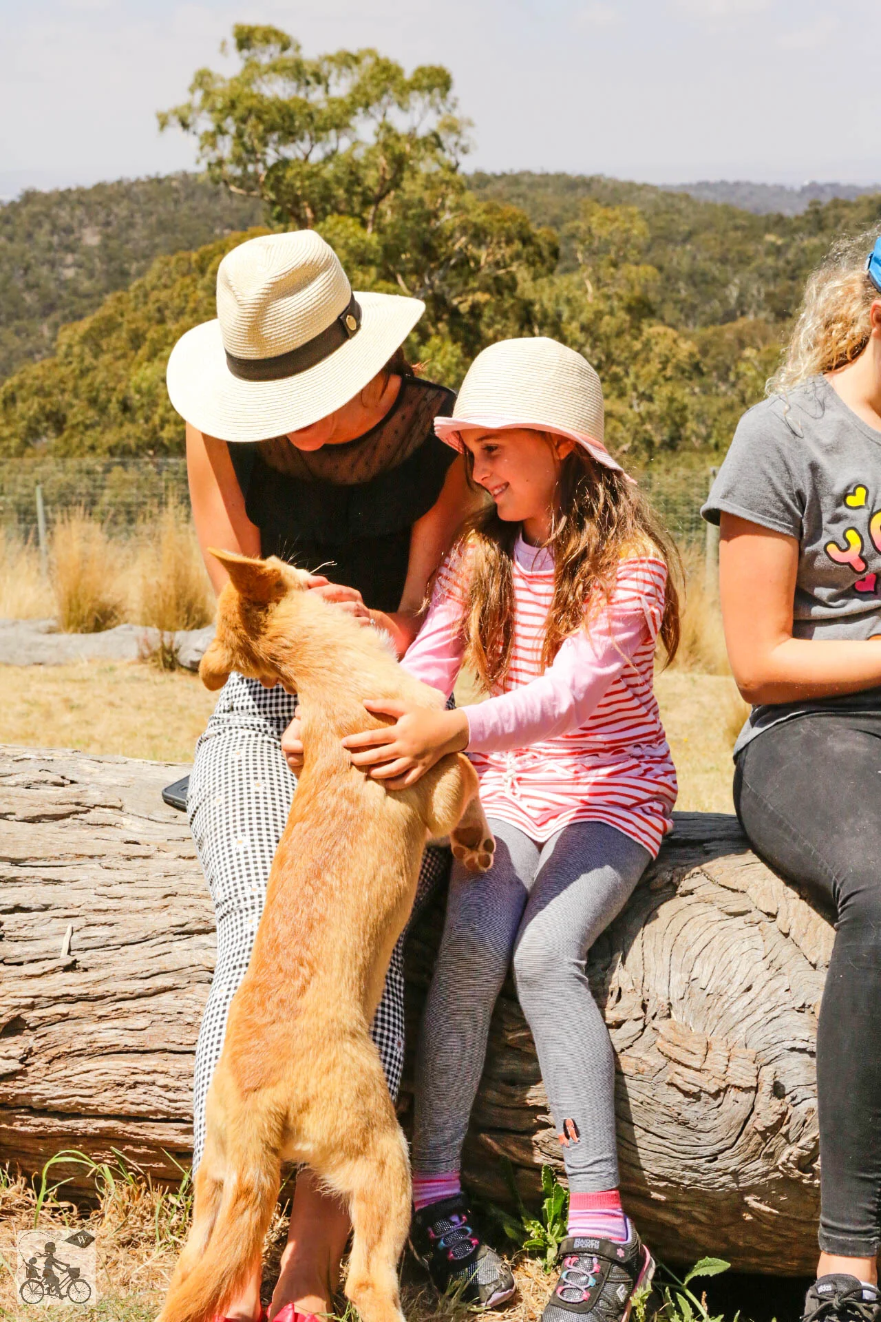 Mamma Knows West - Dingo Discovery Sanctuary (57 of 51).jpg