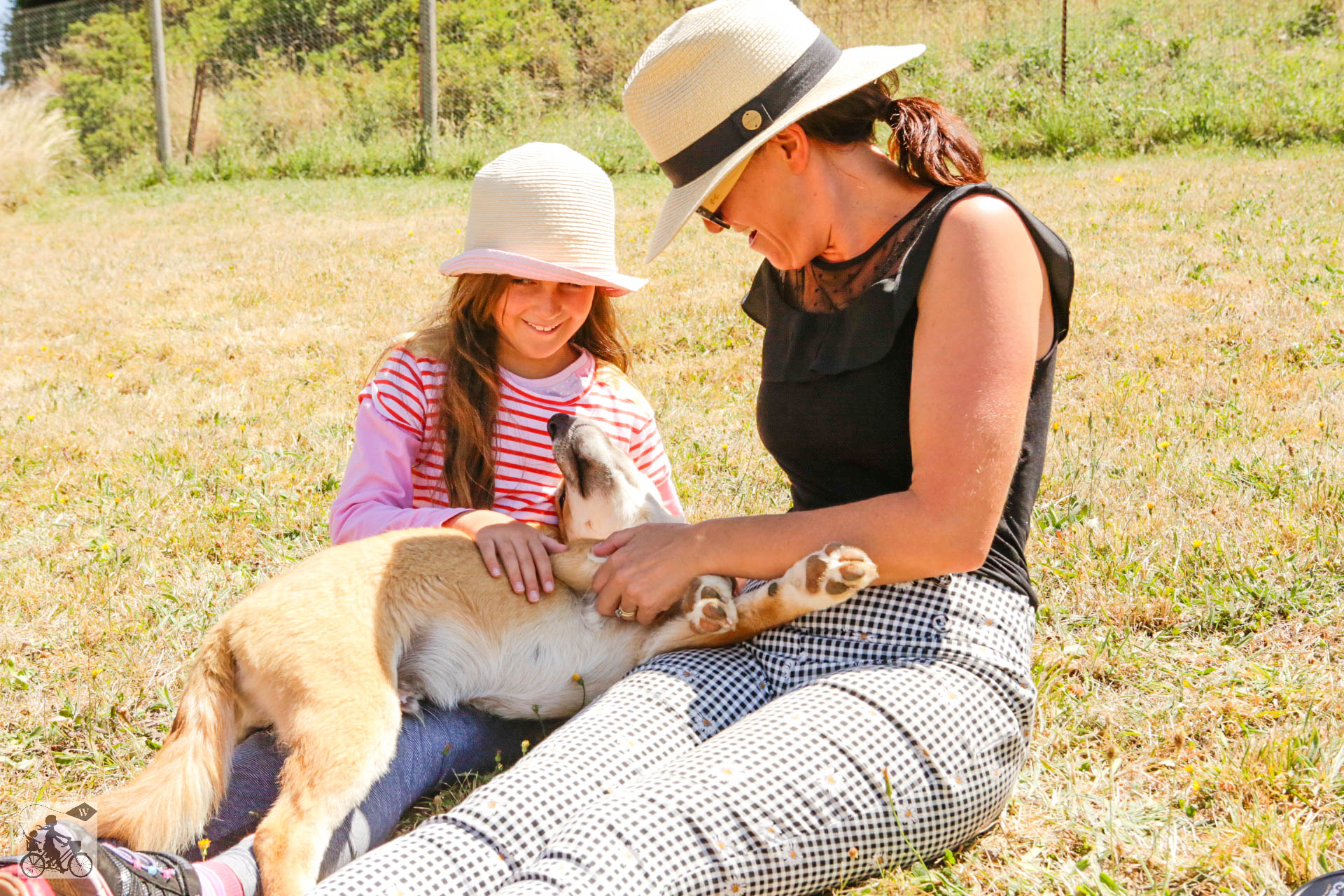 Mamma Knows West - Dingo Discovery Sanctuary (61 of 51).jpg