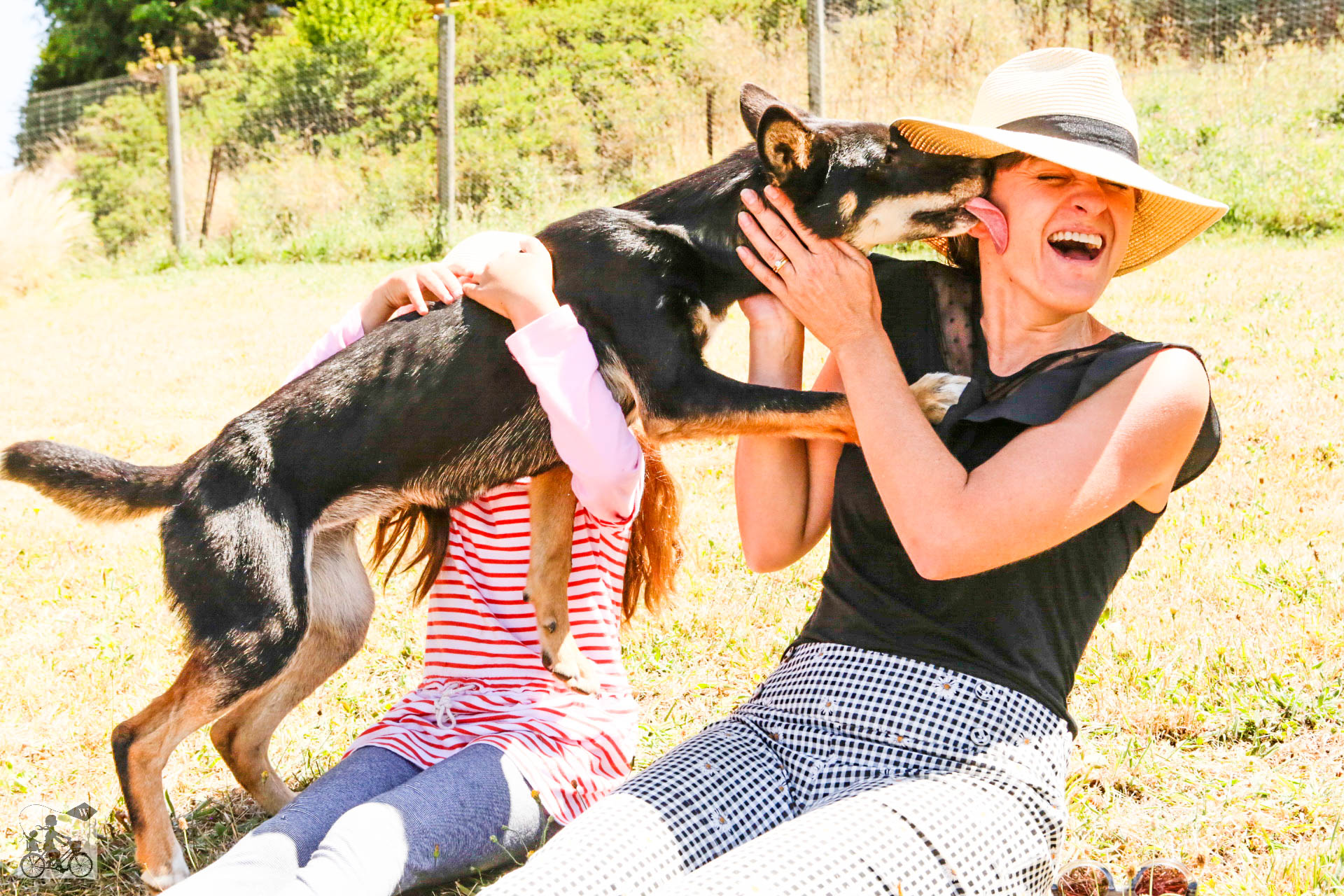 Mamma Knows West - Dingo Discovery Sanctuary (63 of 51).jpg