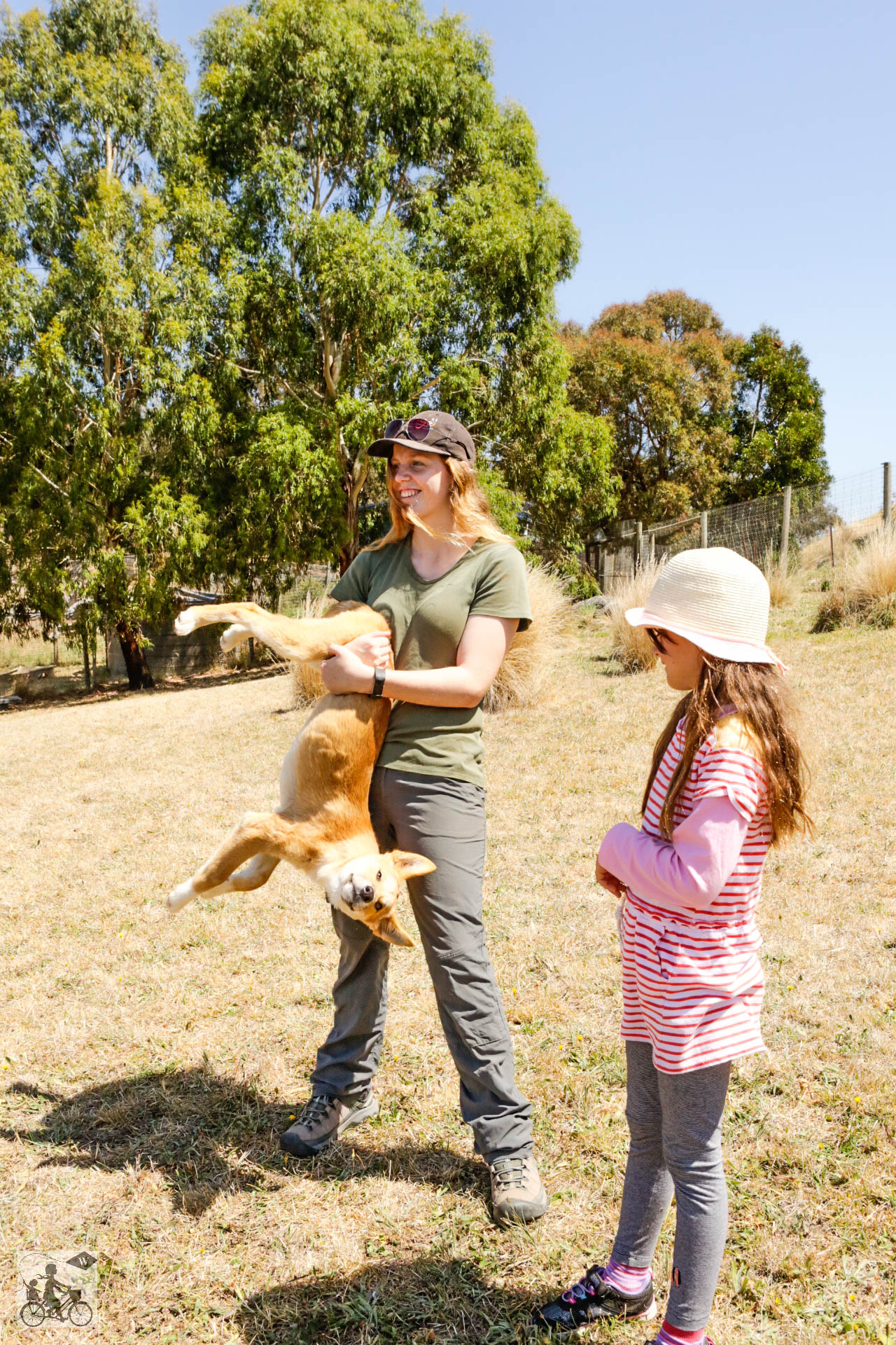 Mamma Knows West - Dingo Discovery Sanctuary (64 of 51).jpg