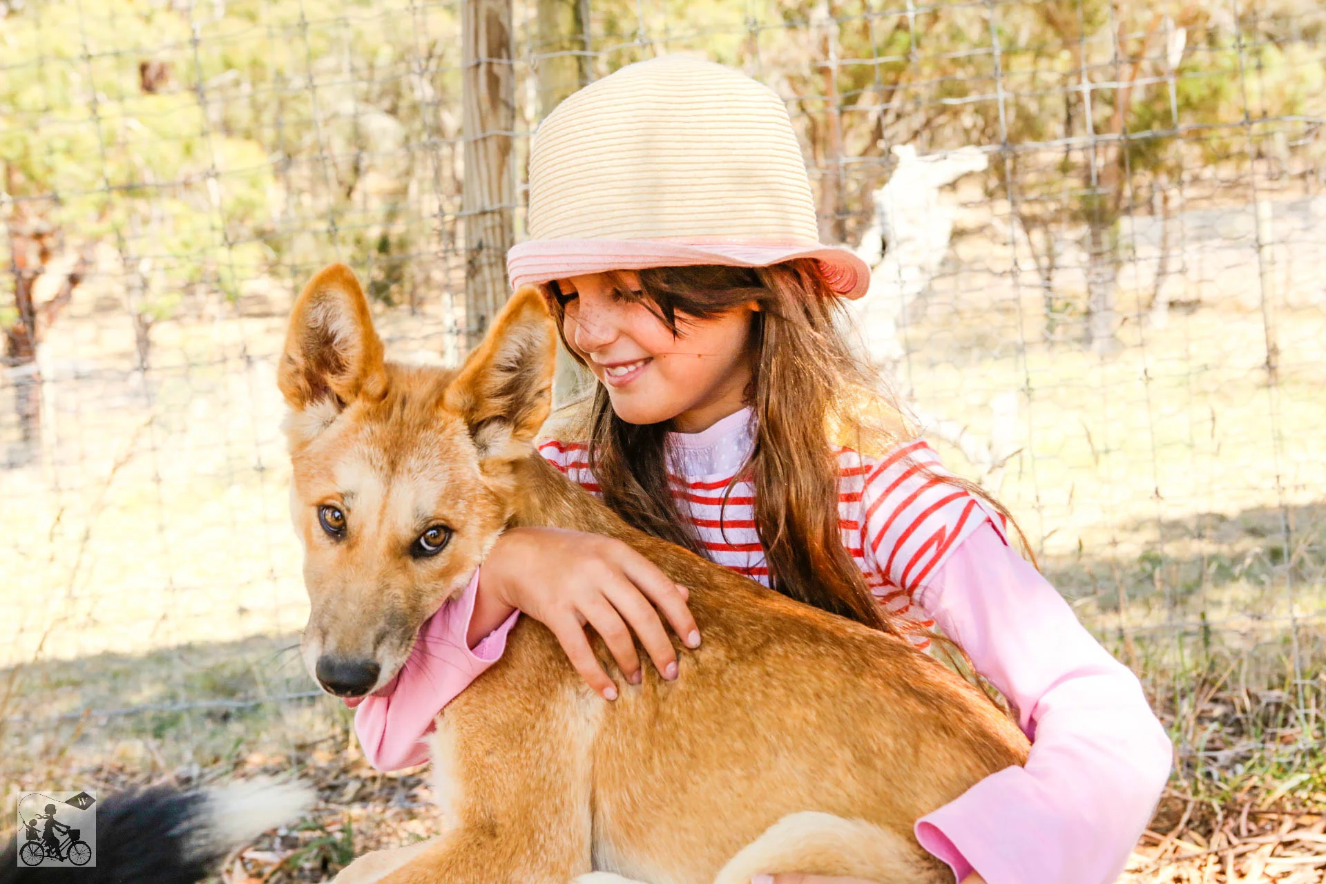Mamma Knows West - Dingo Discovery Sanctuary (68 of 51).jpg