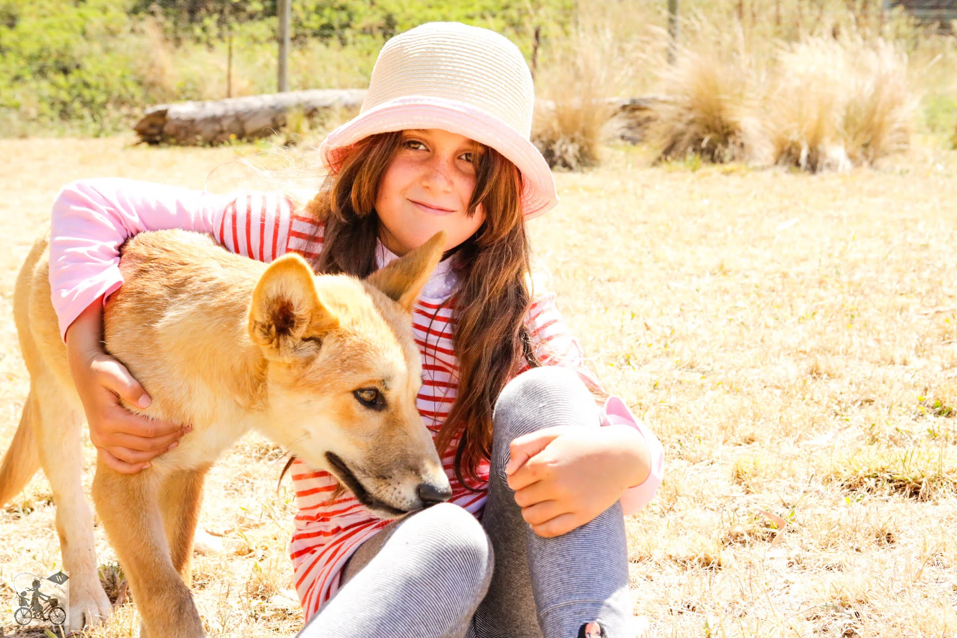 Mamma Knows West - Dingo Discovery Sanctuary (71 of 51).jpg