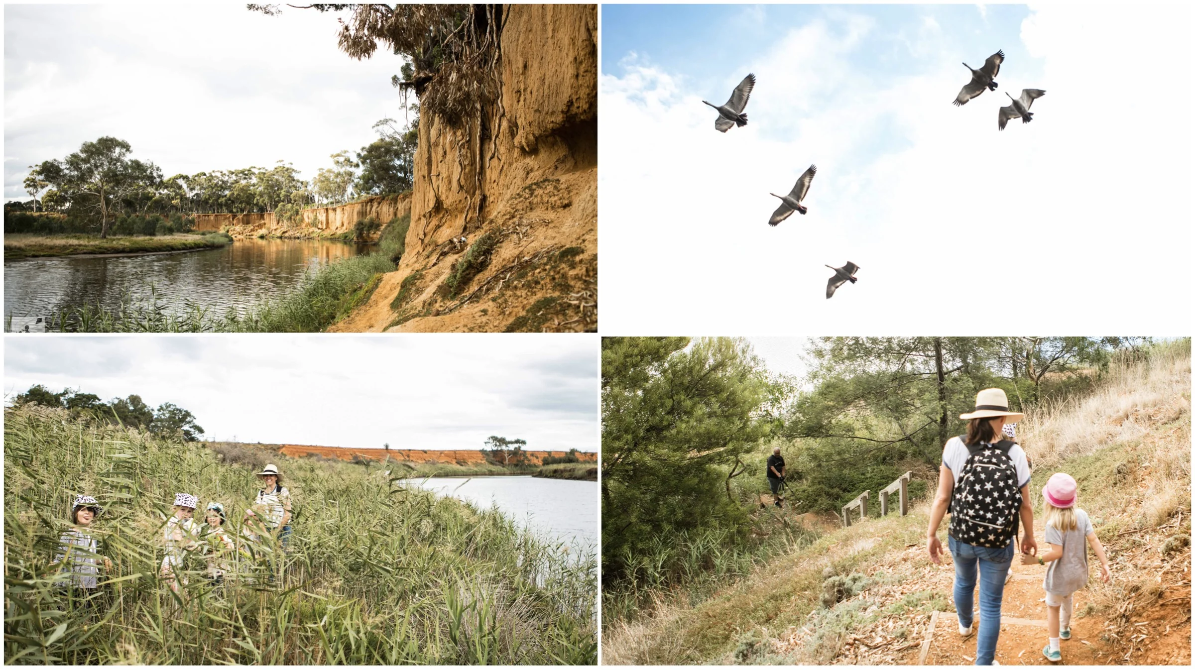 k road cliffs, werribee
