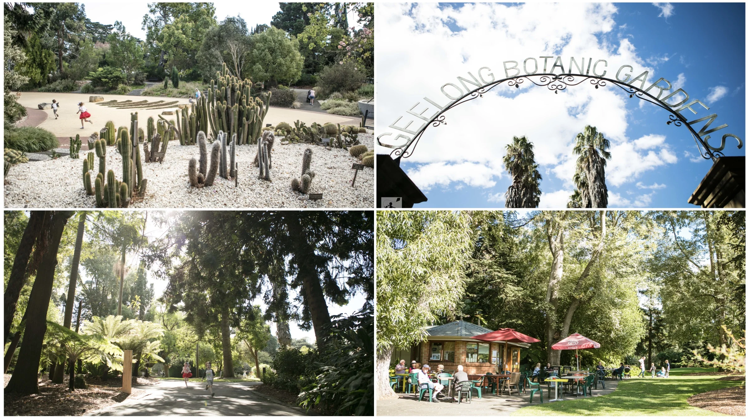 geelong botanic gardens geelong