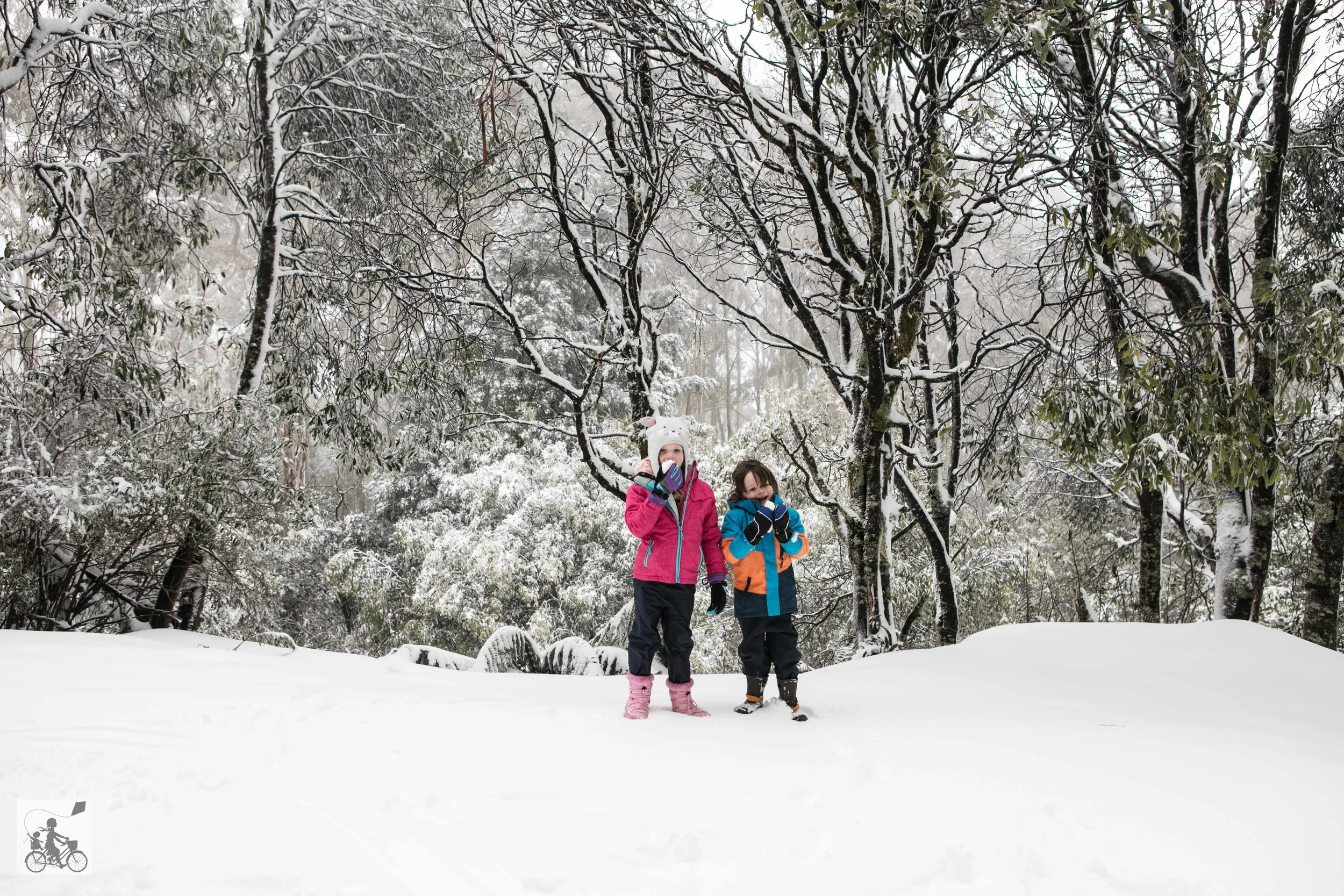 snow play mount donna buang snow play mount donna buang